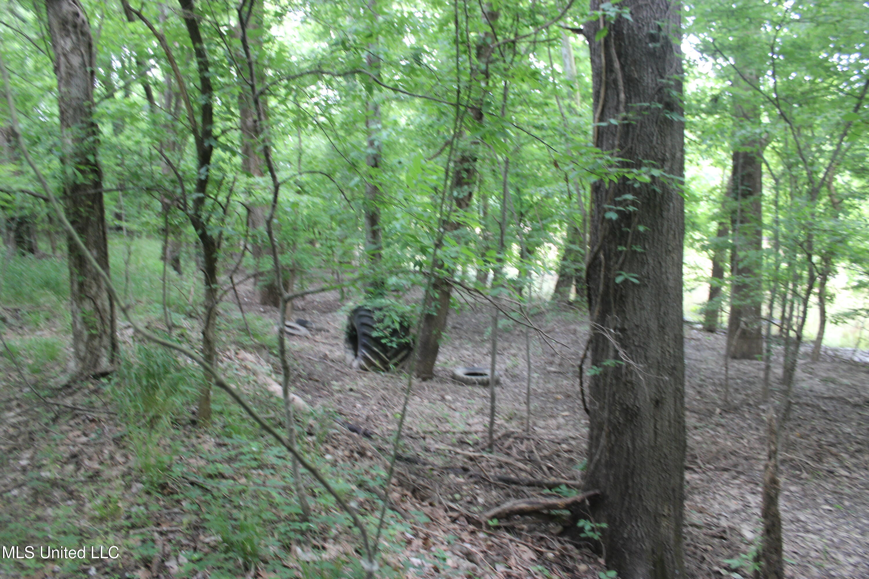 001 Levee Road Road Property Photo 33