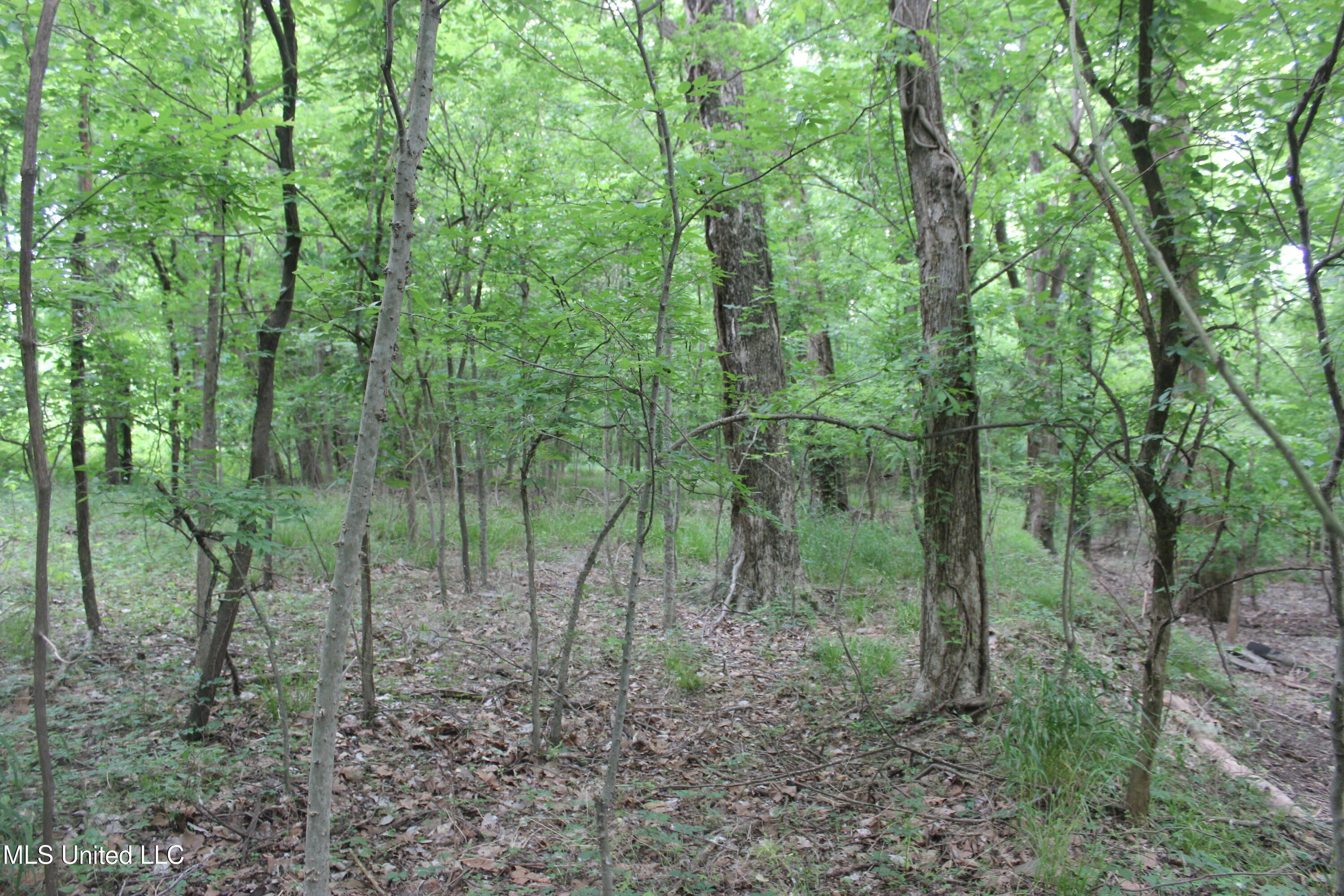 001 Levee Road Road Property Photo 34