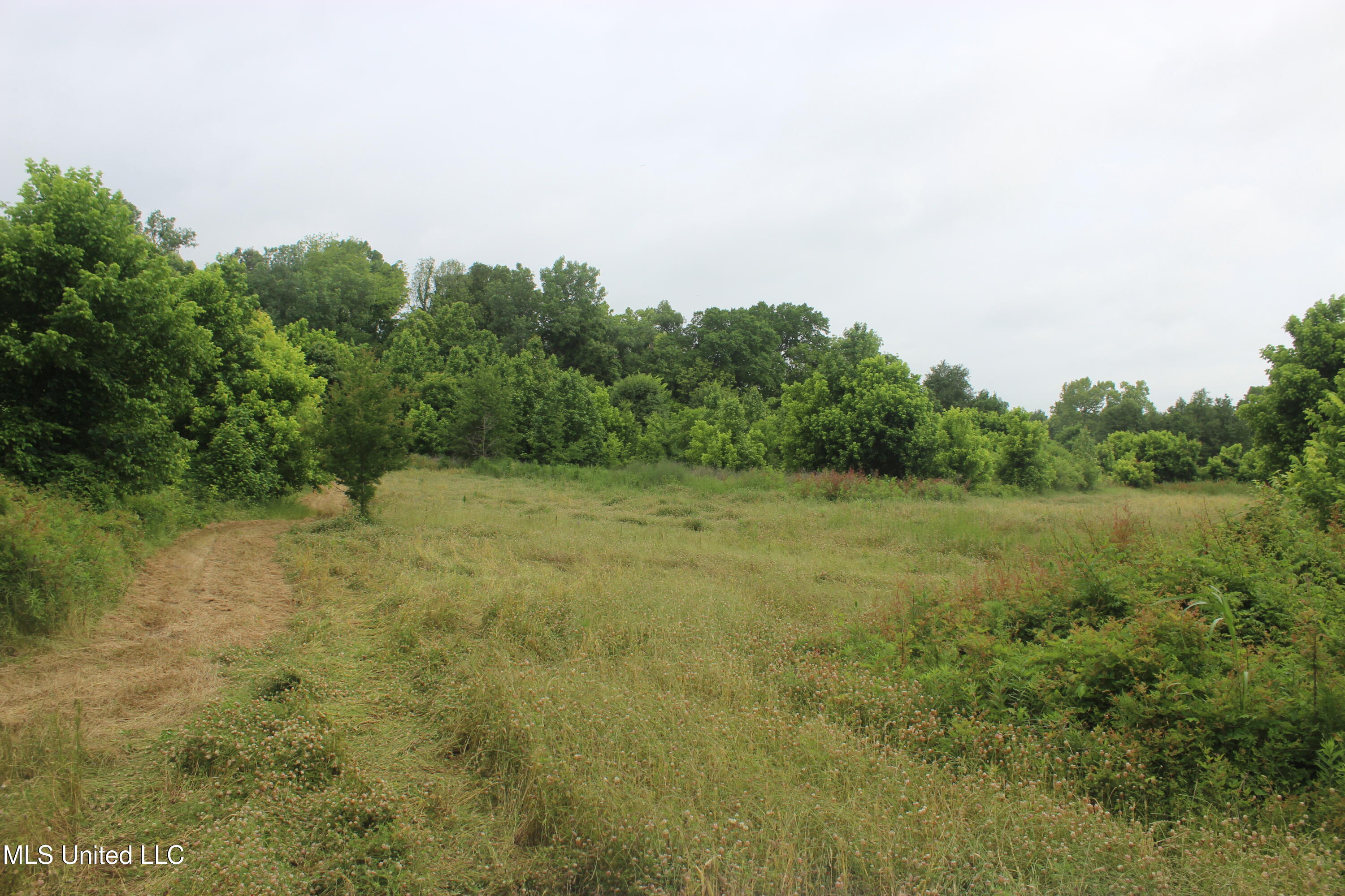 001 Levee Road Road Property Photo 35