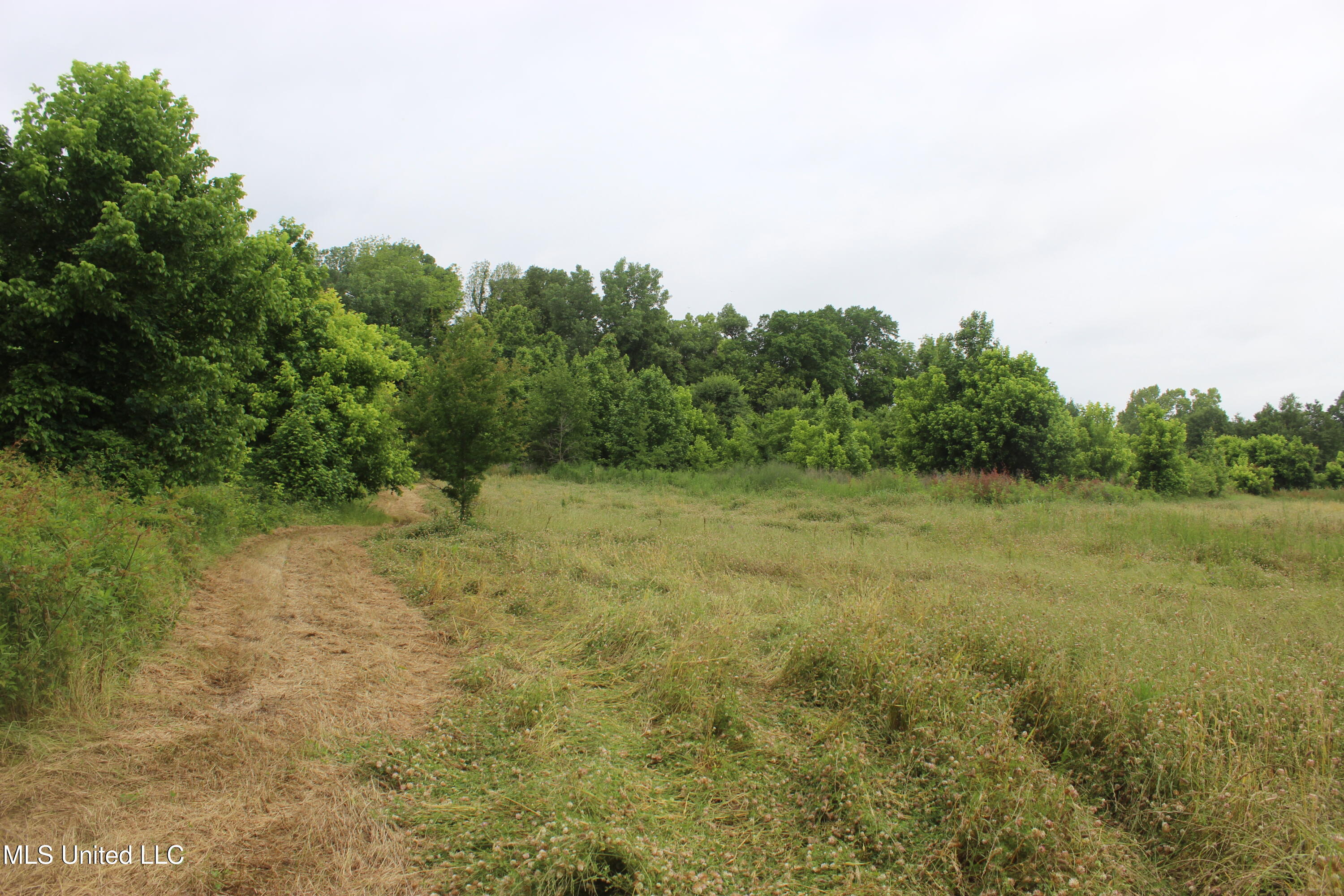 001 Levee Road Road Property Photo 36