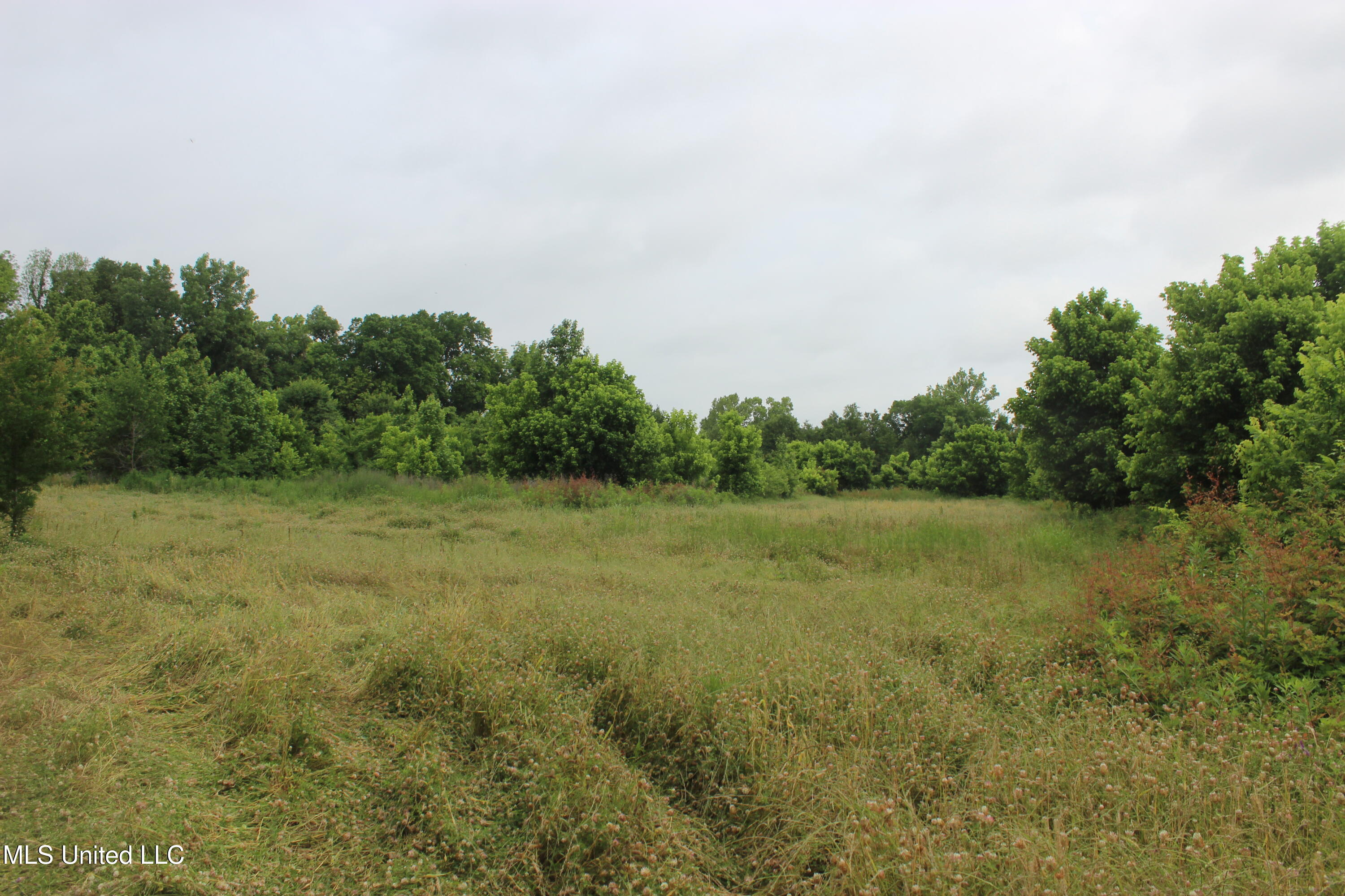 001 Levee Road Road Property Photo 37