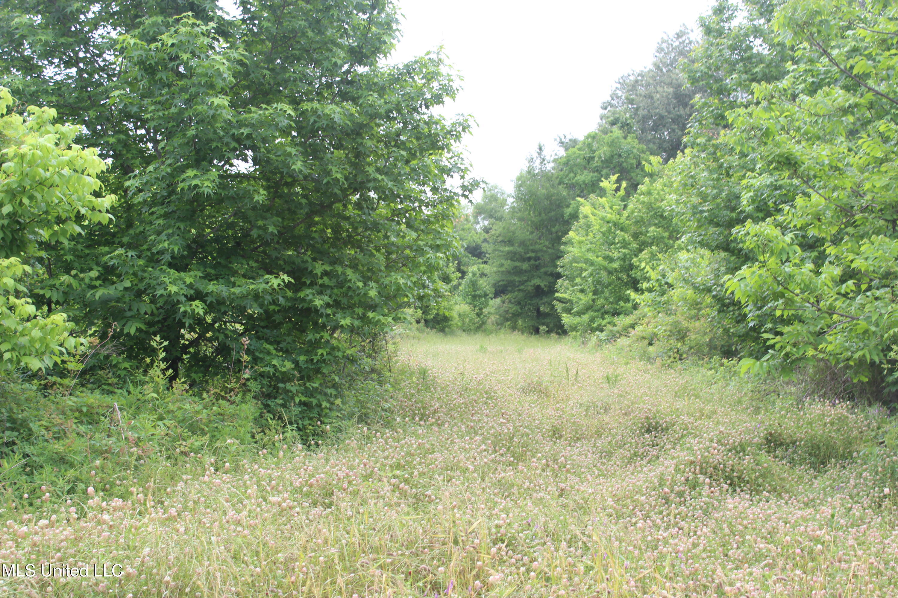 001 Levee Road Road Property Photo 38