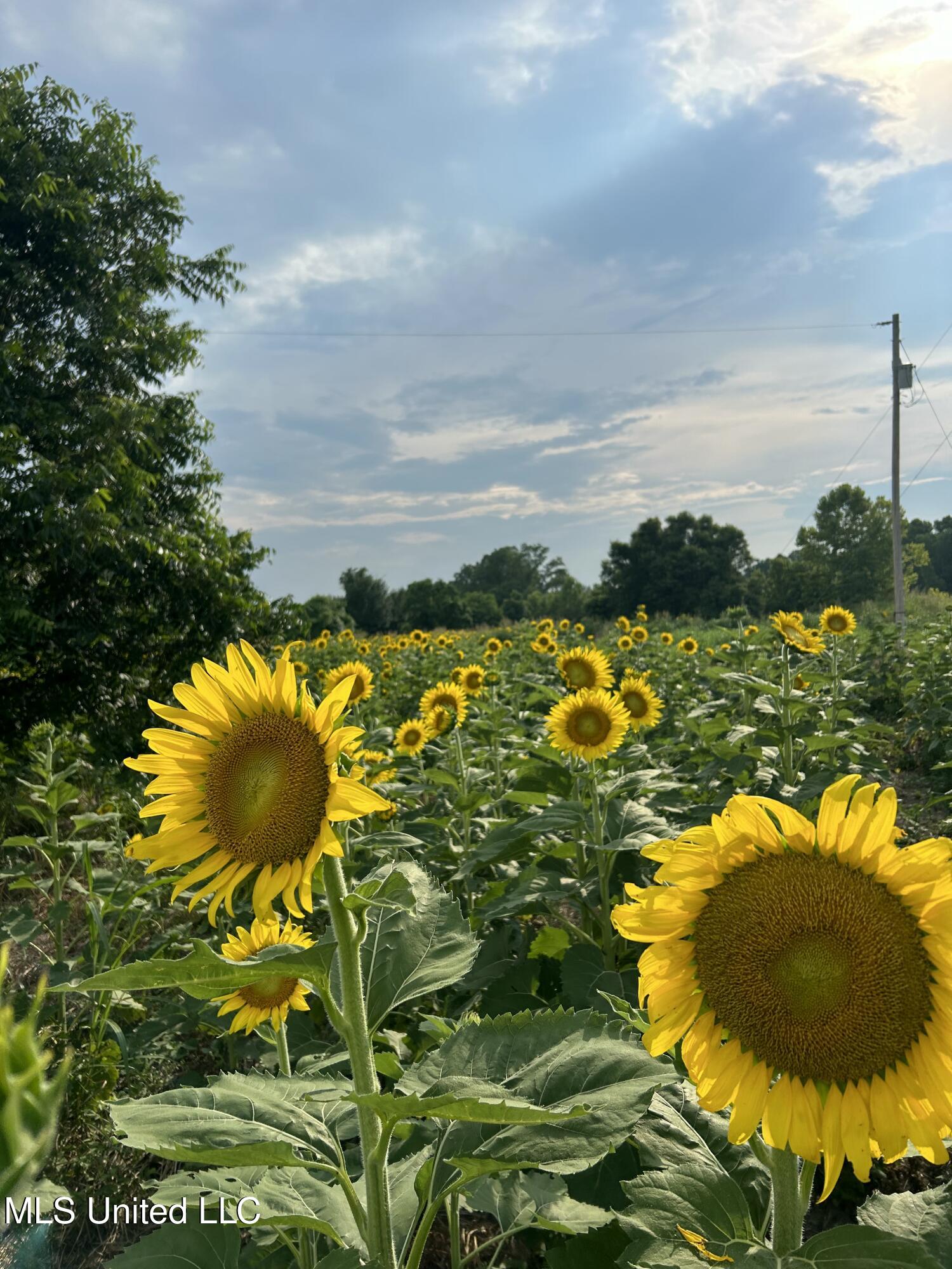 001 Levee Road Road Property Photo 48