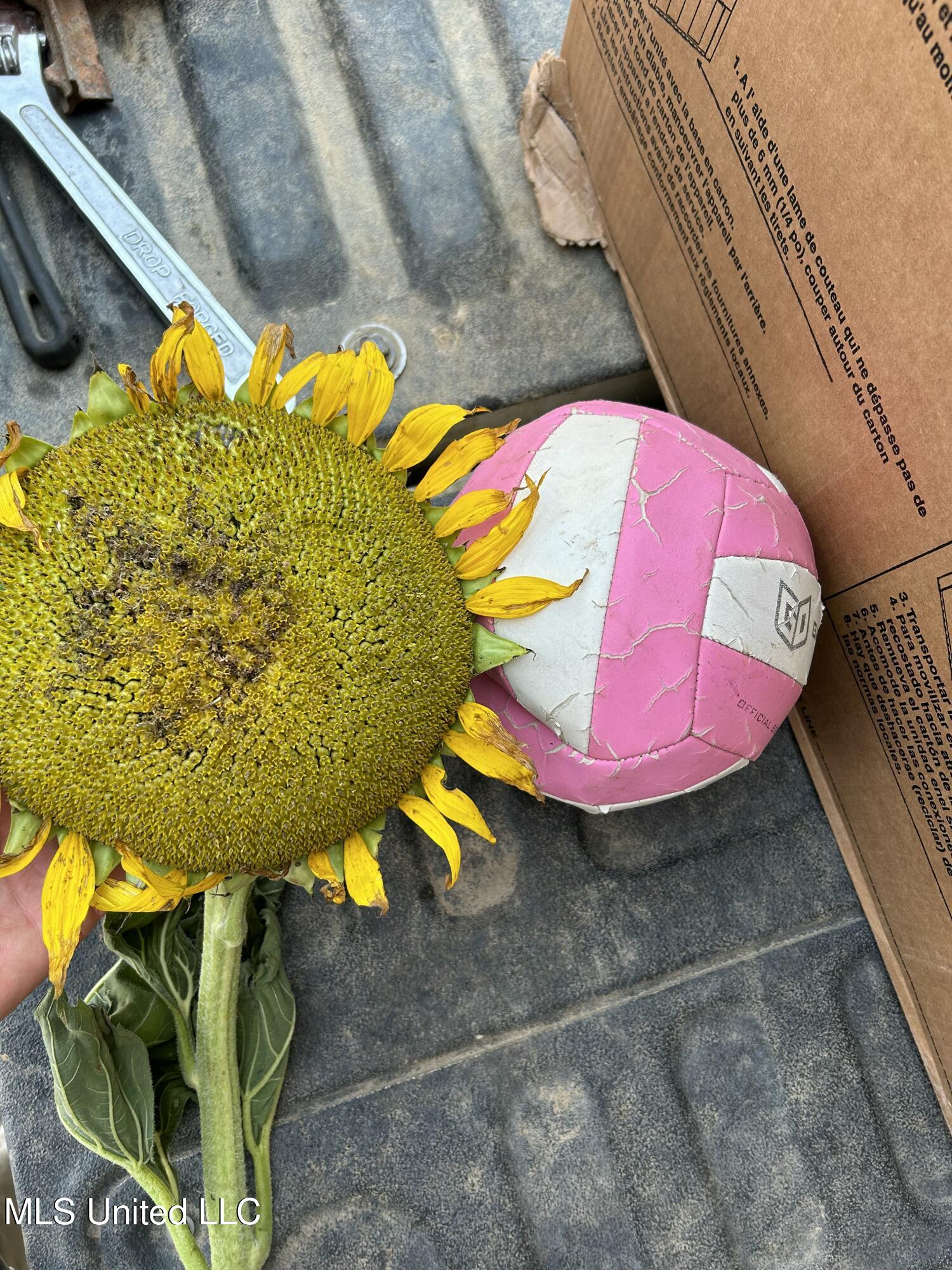 001 Levee Road Road Property Photo 50