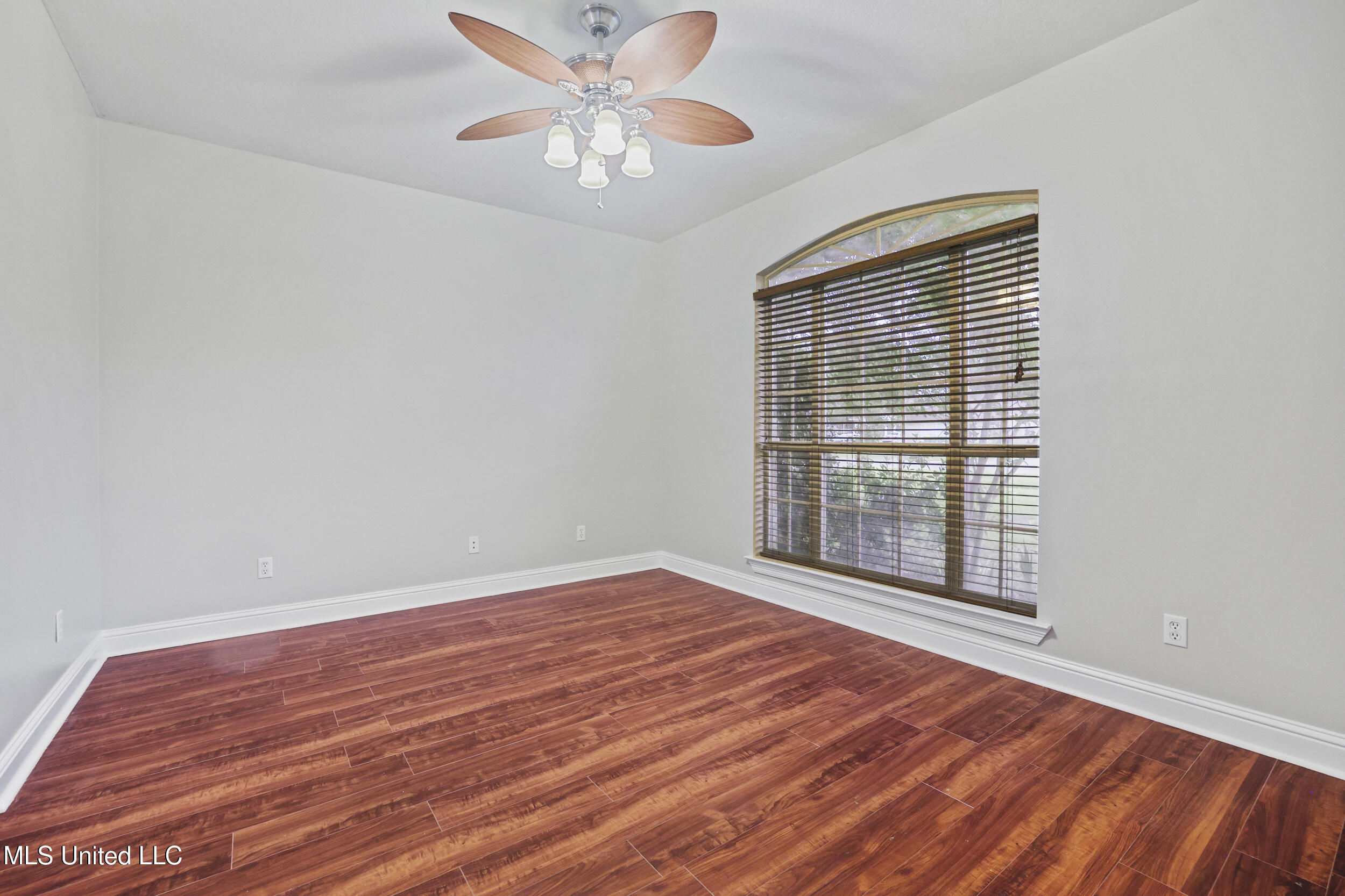 1817 Shelby Lane Property Photo 5