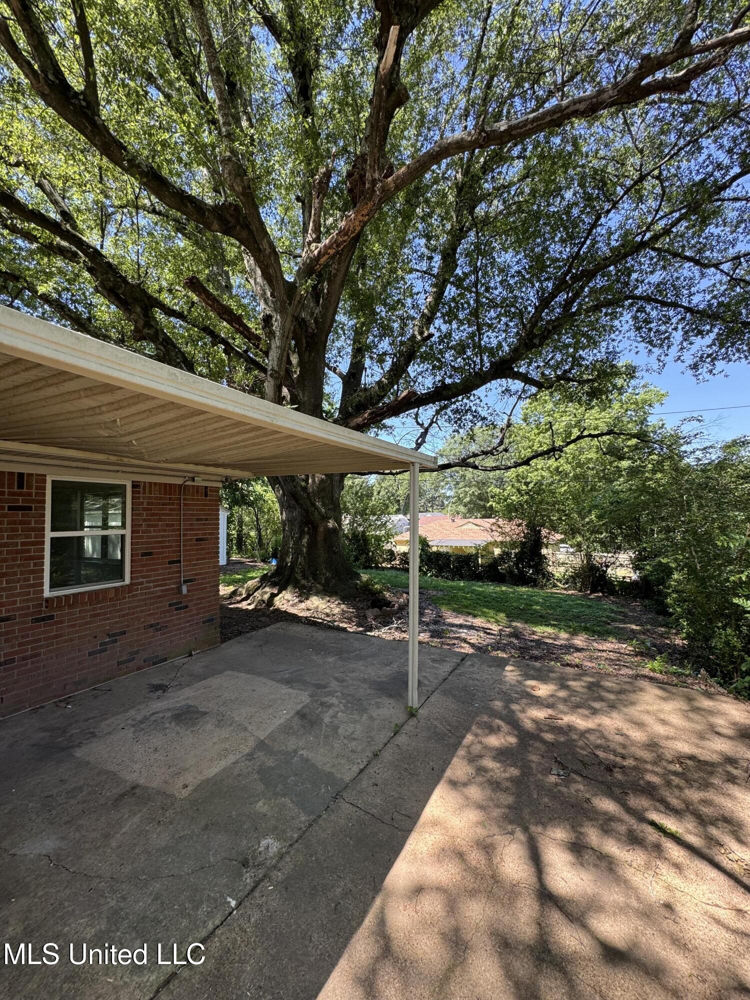 8327 Colonial Hills Cove Property Photo 4