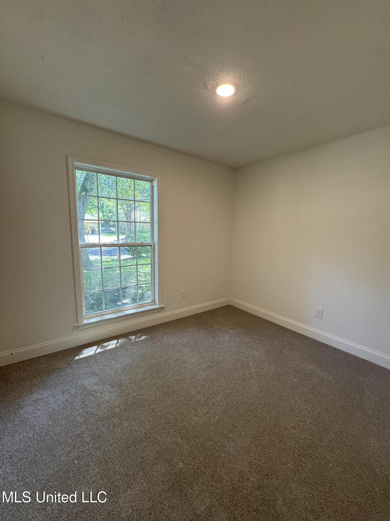8327 Colonial Hills Cove Property Photo 18