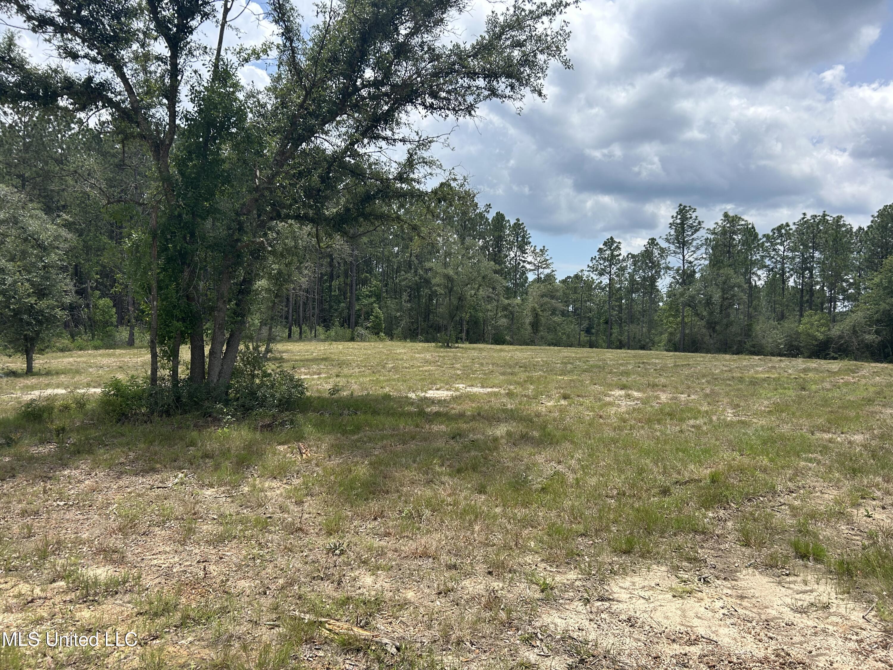 01 Hwy 603 Highway Property Photo 1