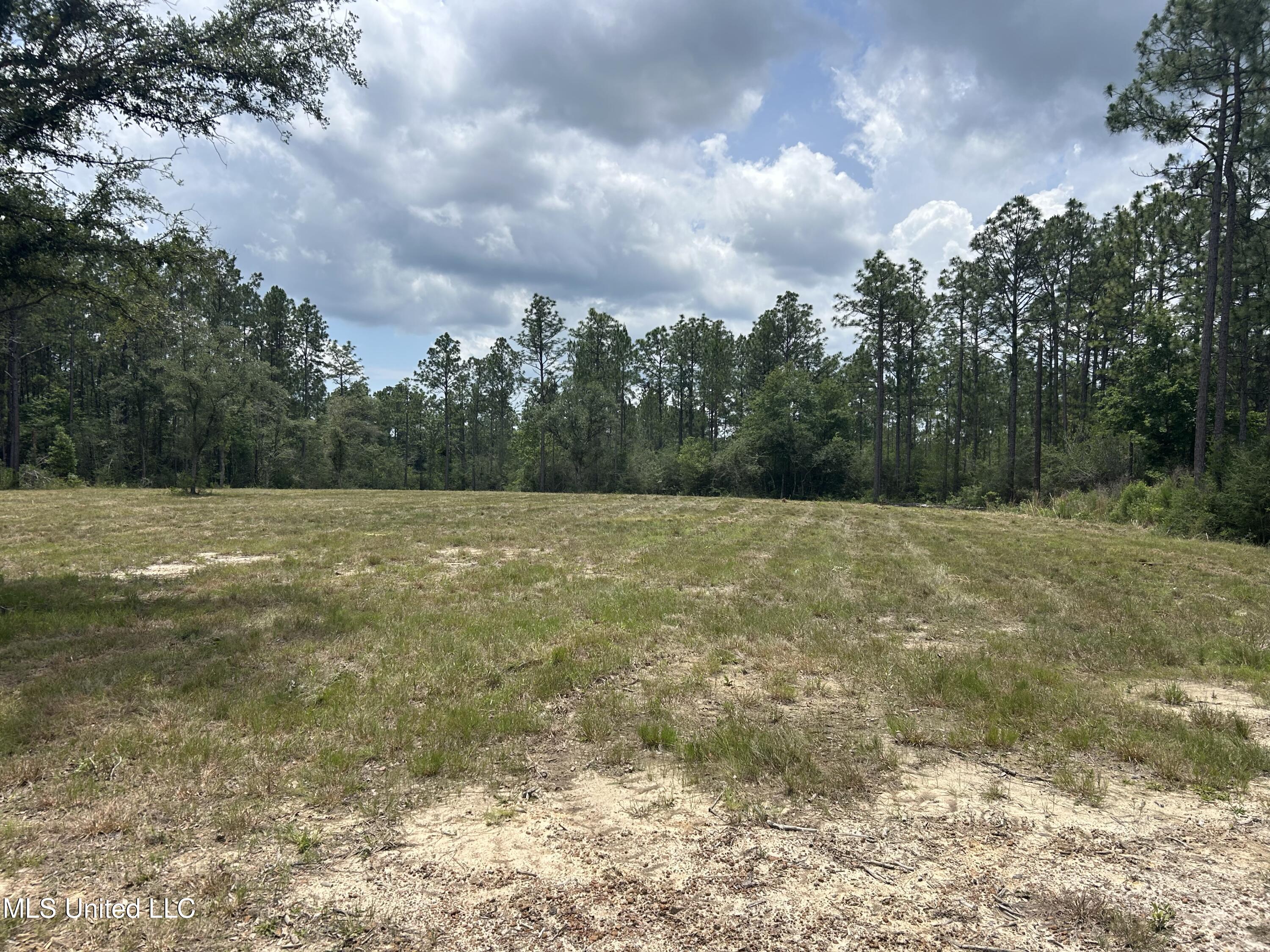 01 Hwy 603 Highway Property Photo 2