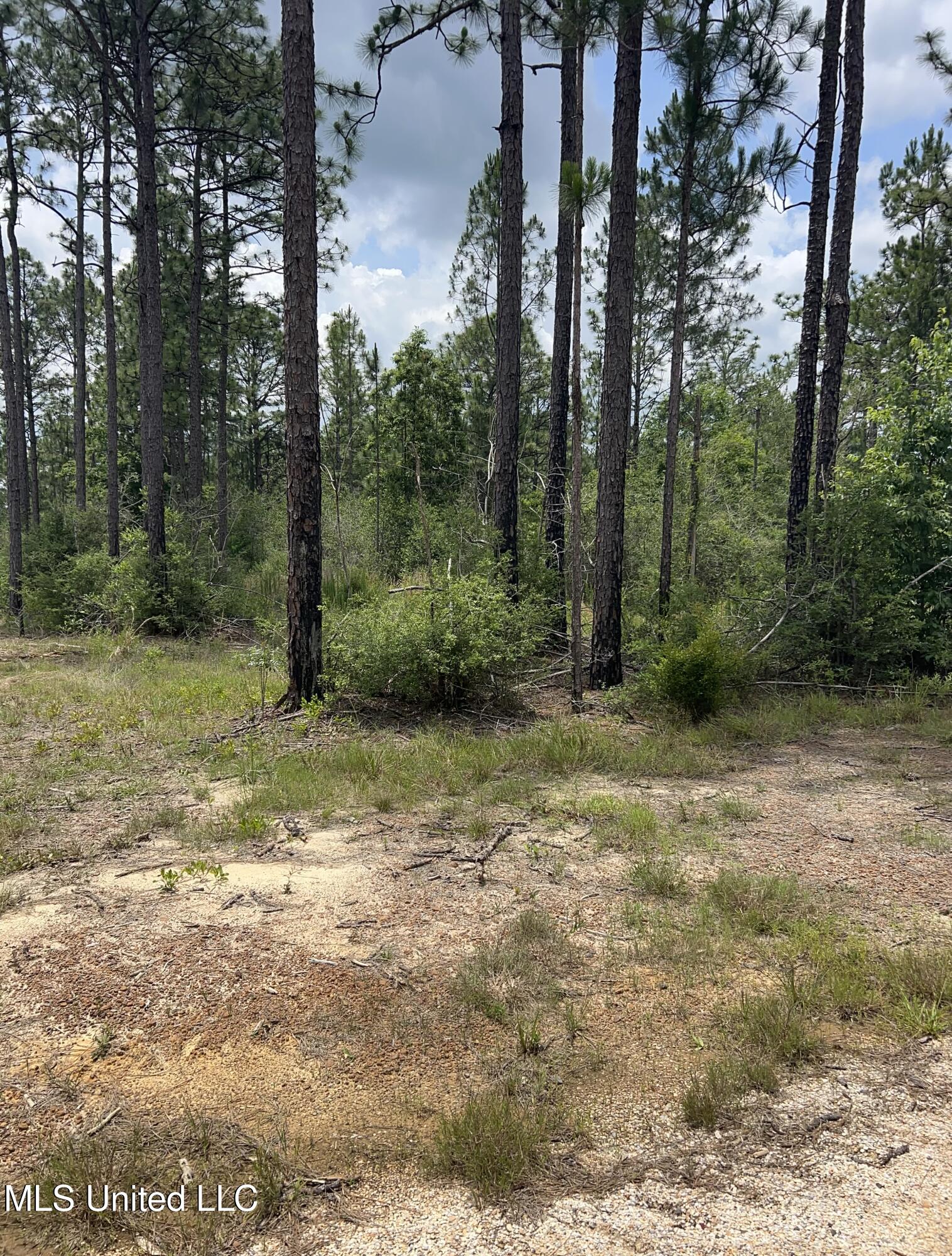01 Hwy 603 Highway Property Photo 3