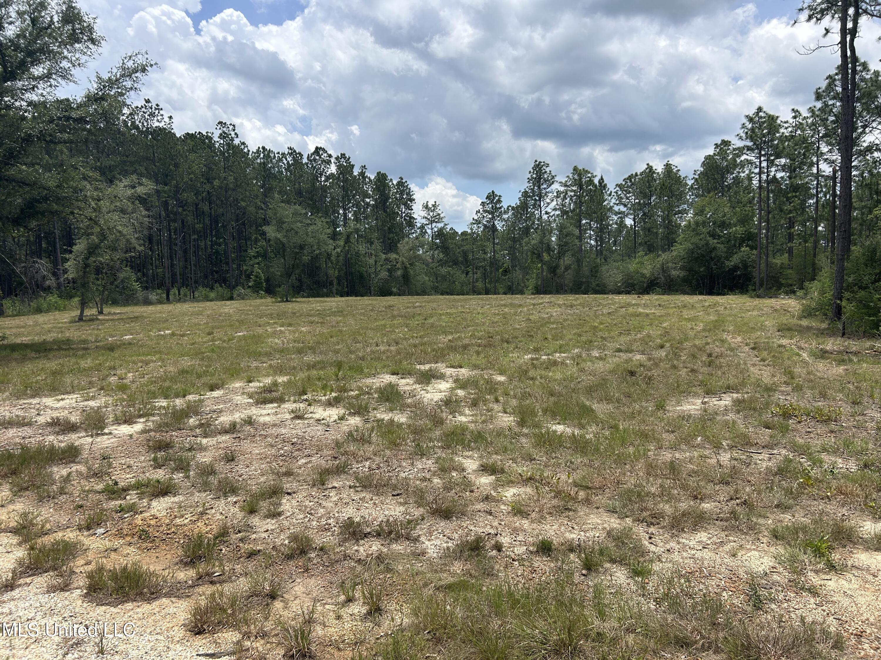 01 Hwy 603 Highway Property Photo 4