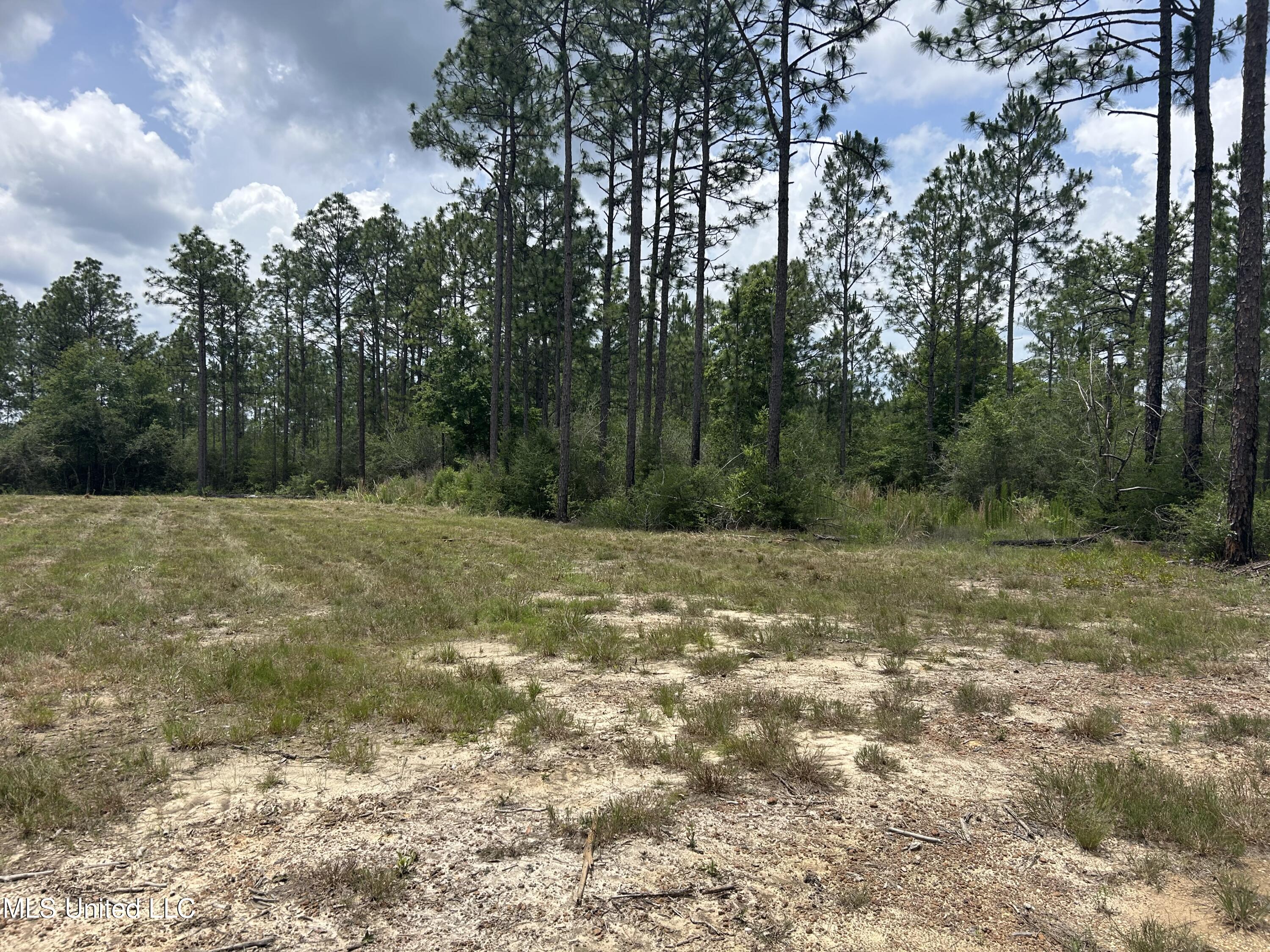 01 Hwy 603 Highway Property Photo 5