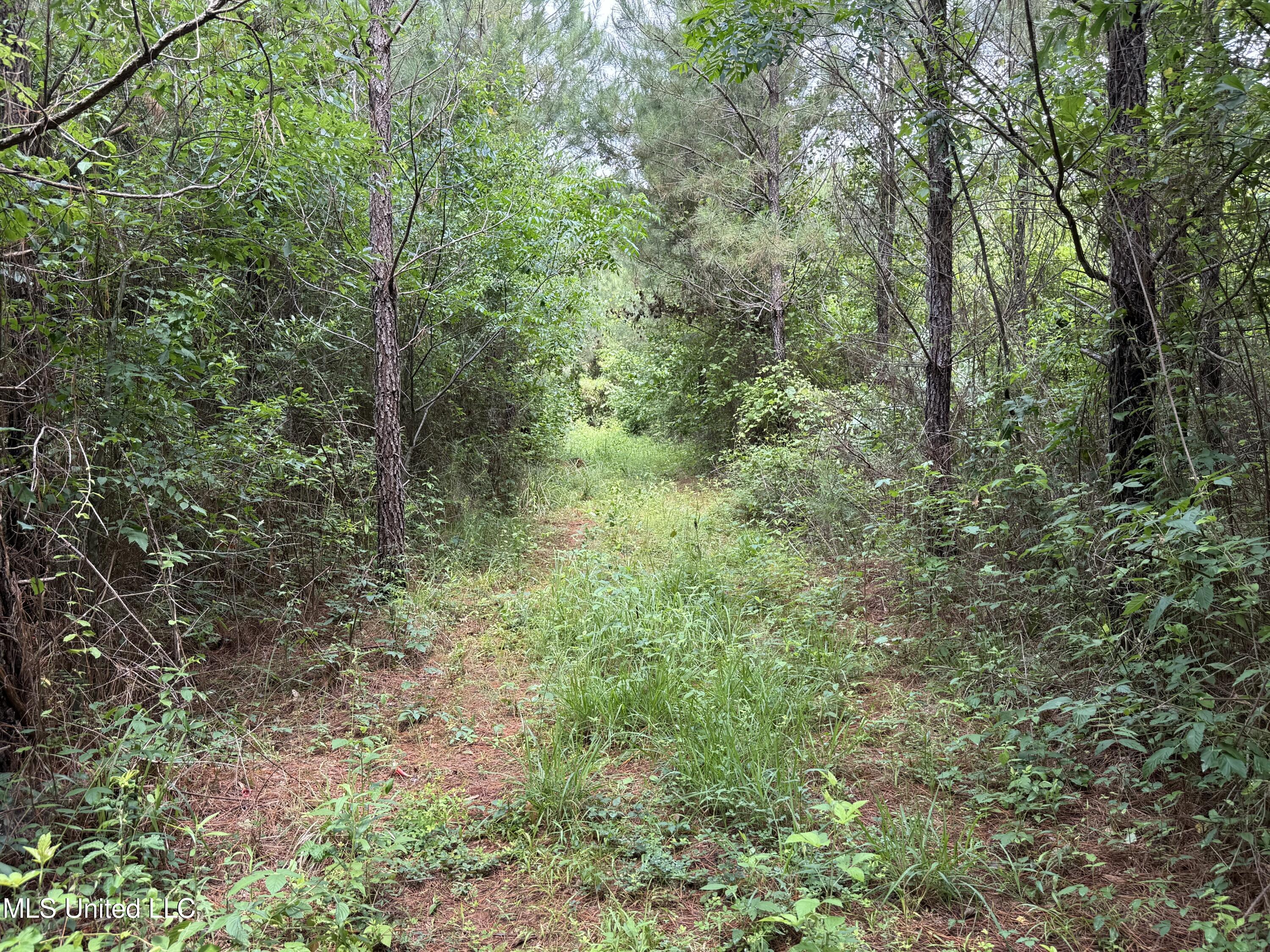 Mcneil Road Road Property Photo 2