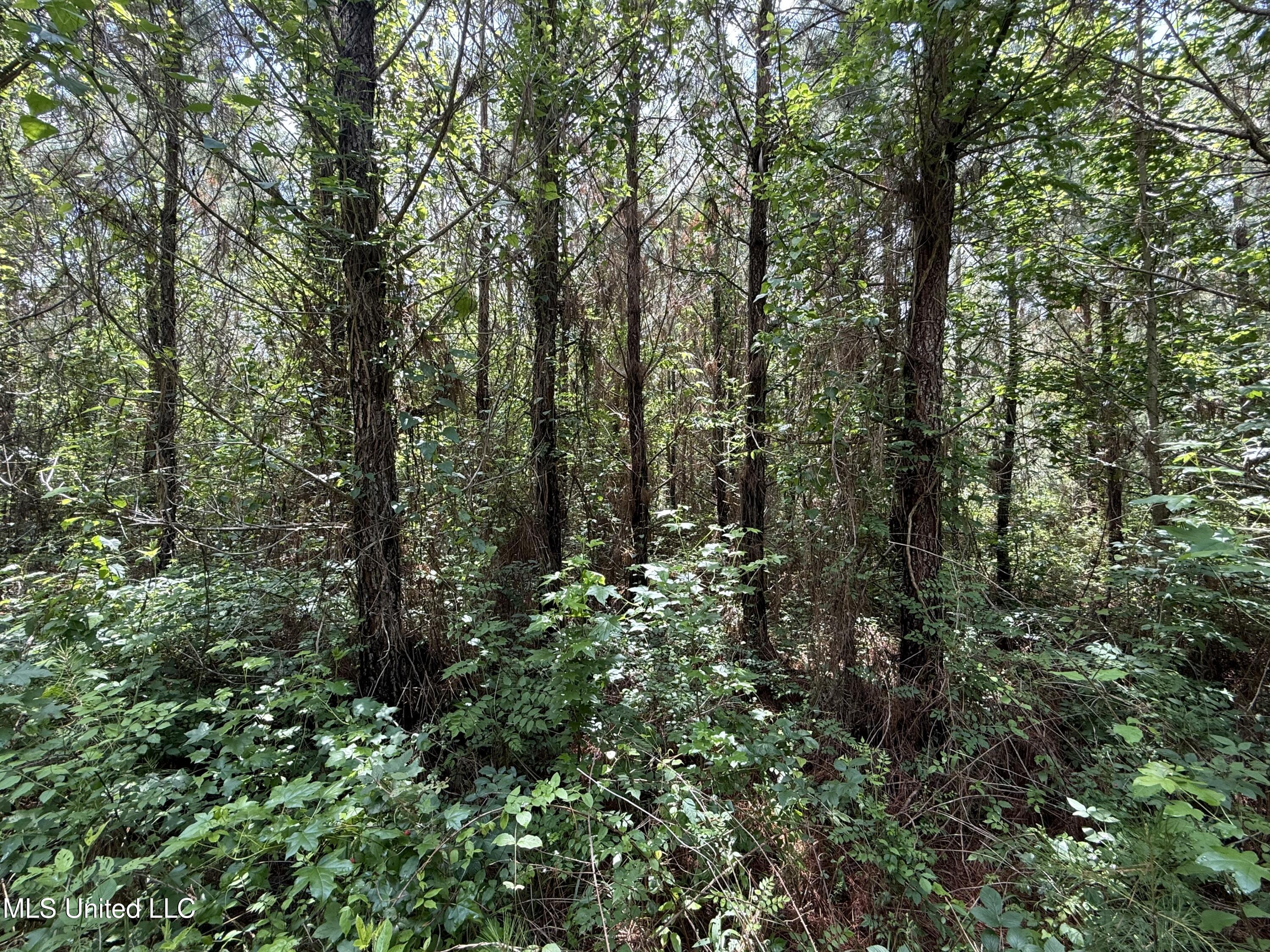Mcneil Road Road Property Photo 4