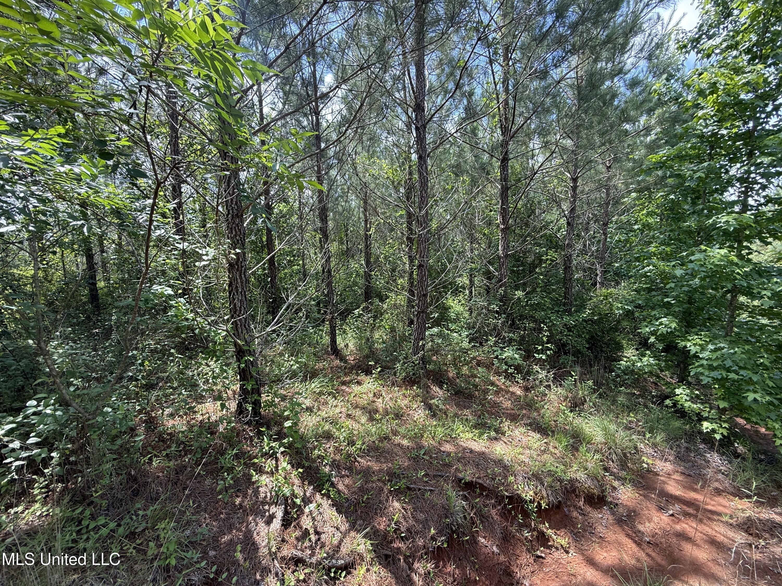 Mcneil Road Road Property Photo 5