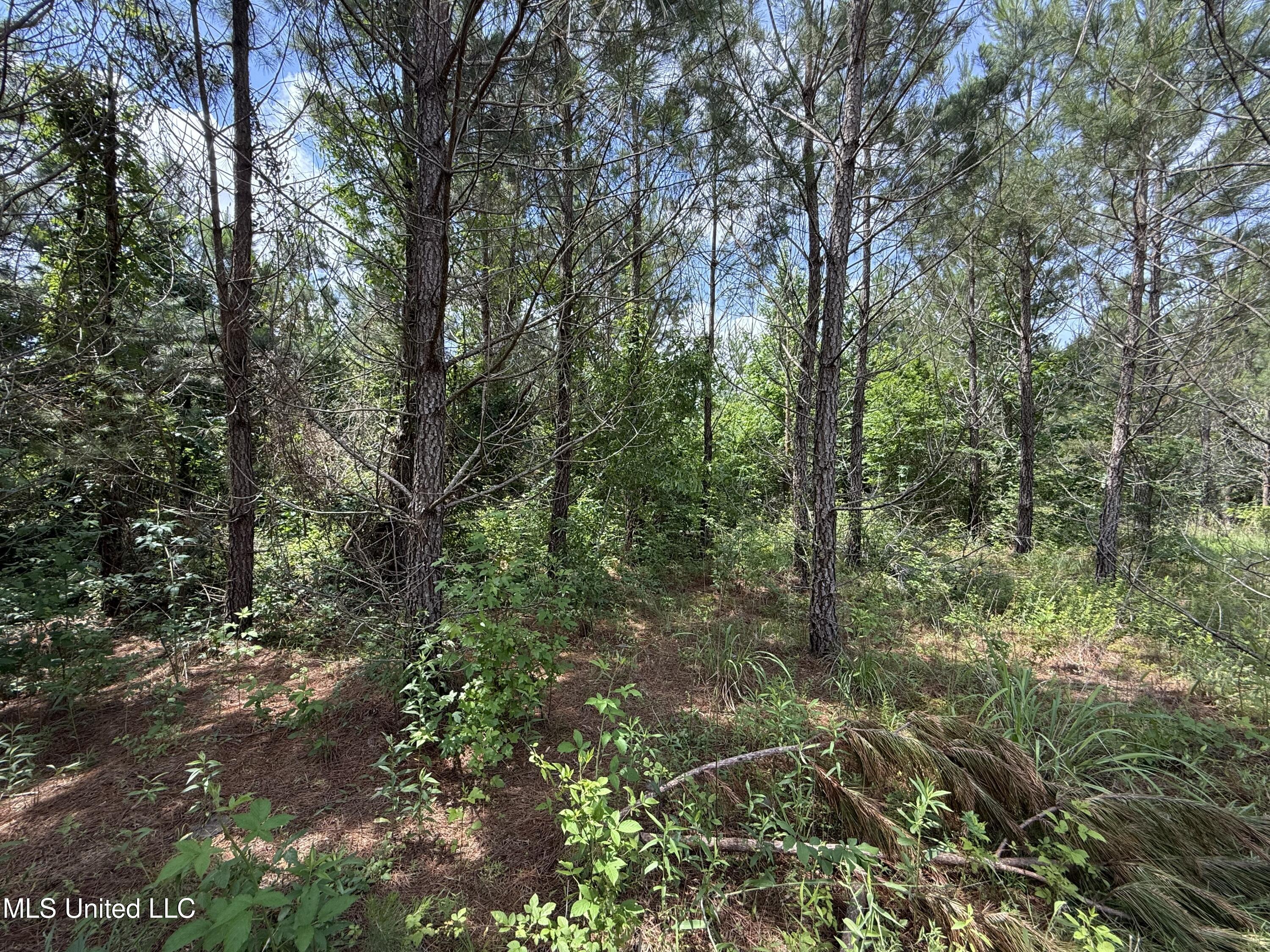 Mcneil Road Road Property Photo 6