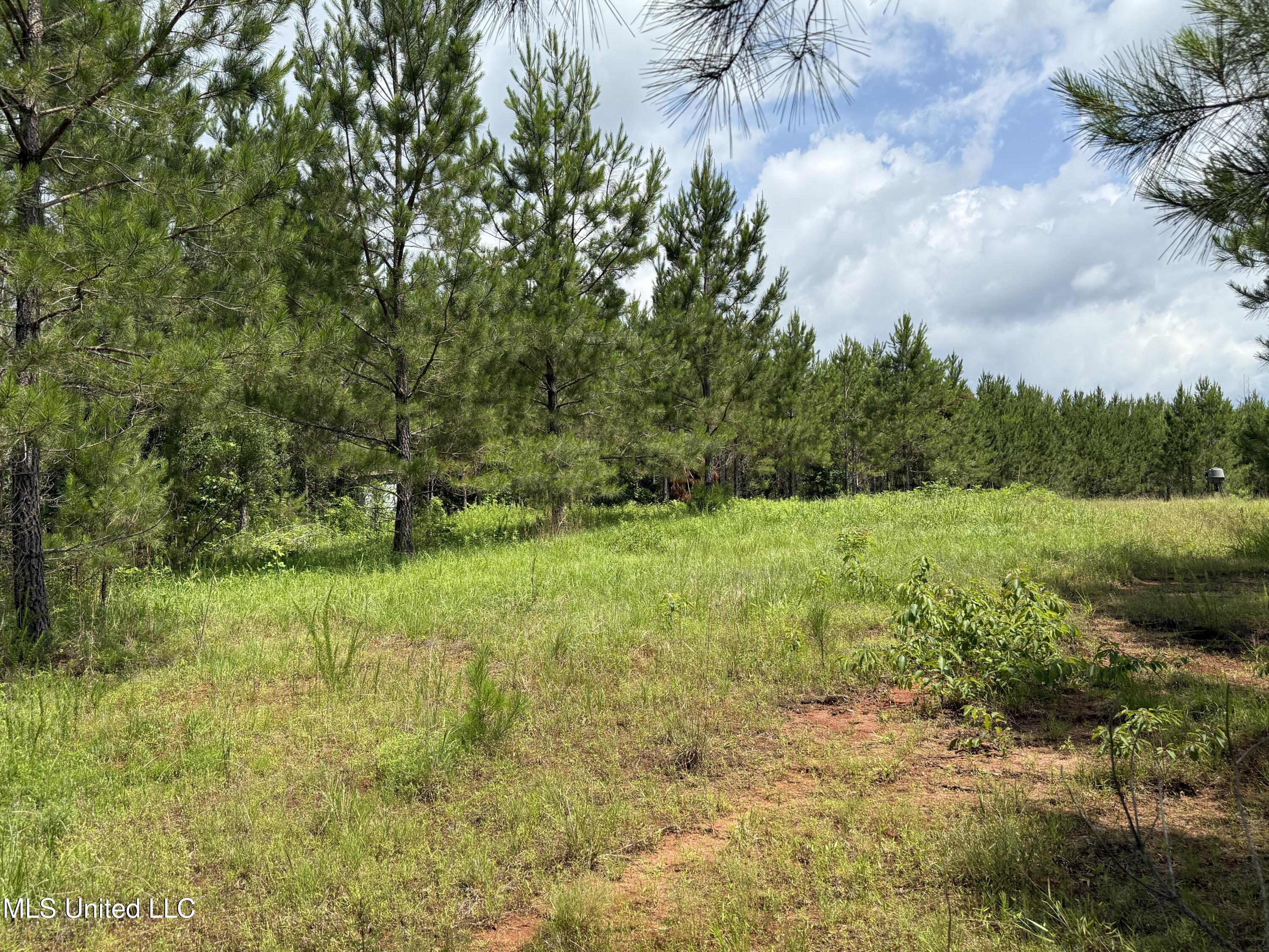 Mcneil Road Road Property Photo 7