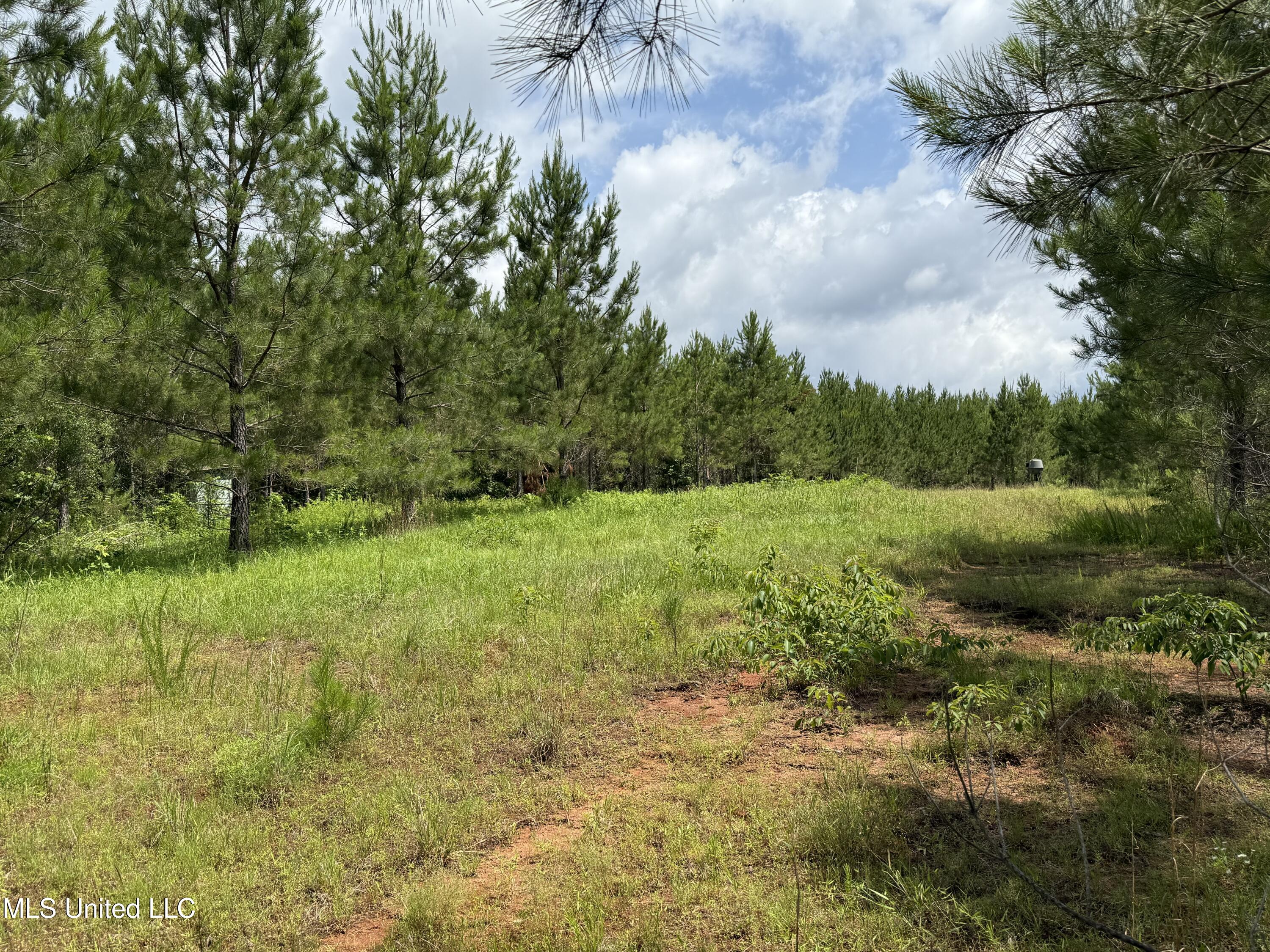 Mcneil Road Road Property Photo 8
