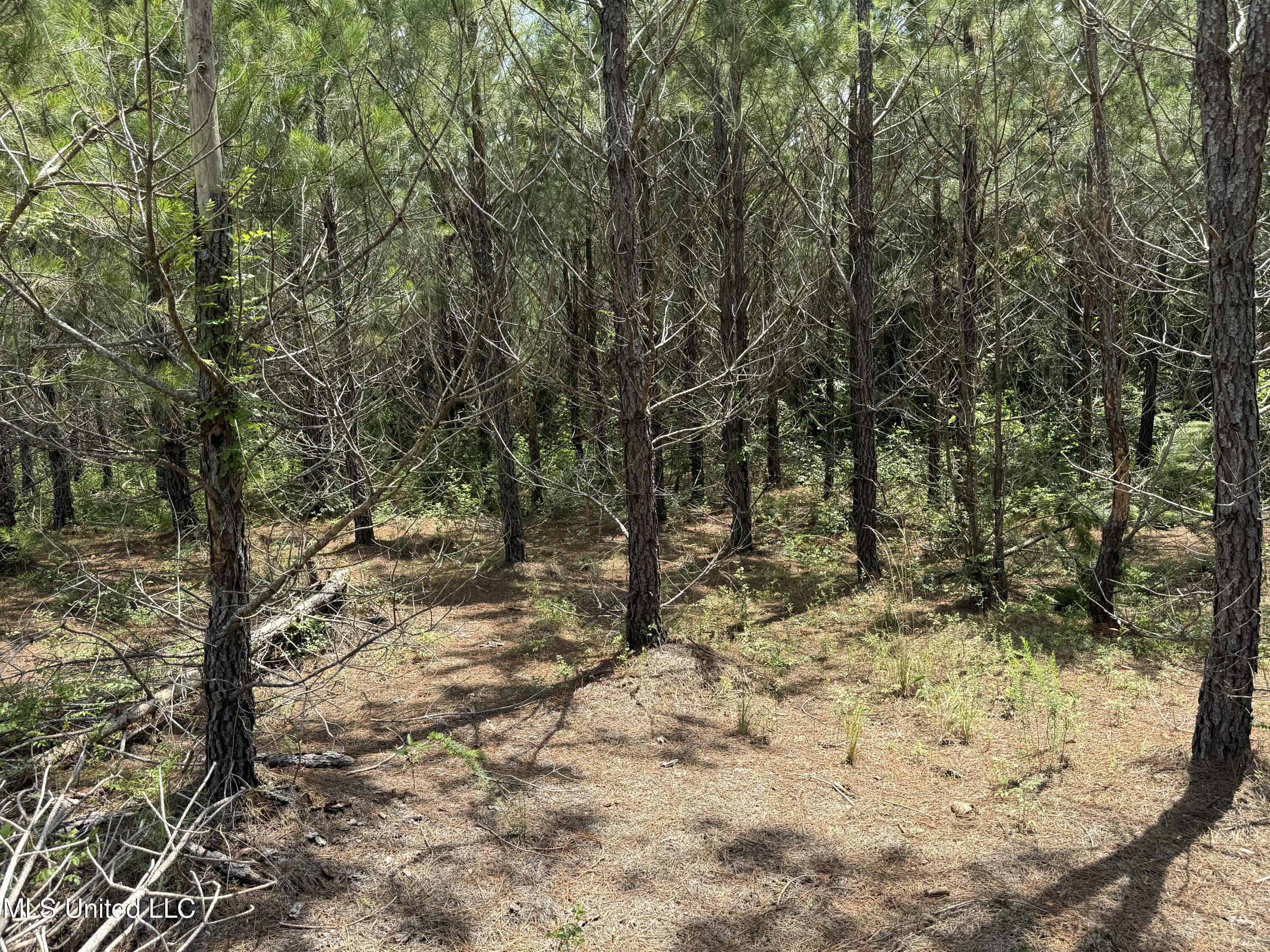 Mcneil Road Road Property Photo 9