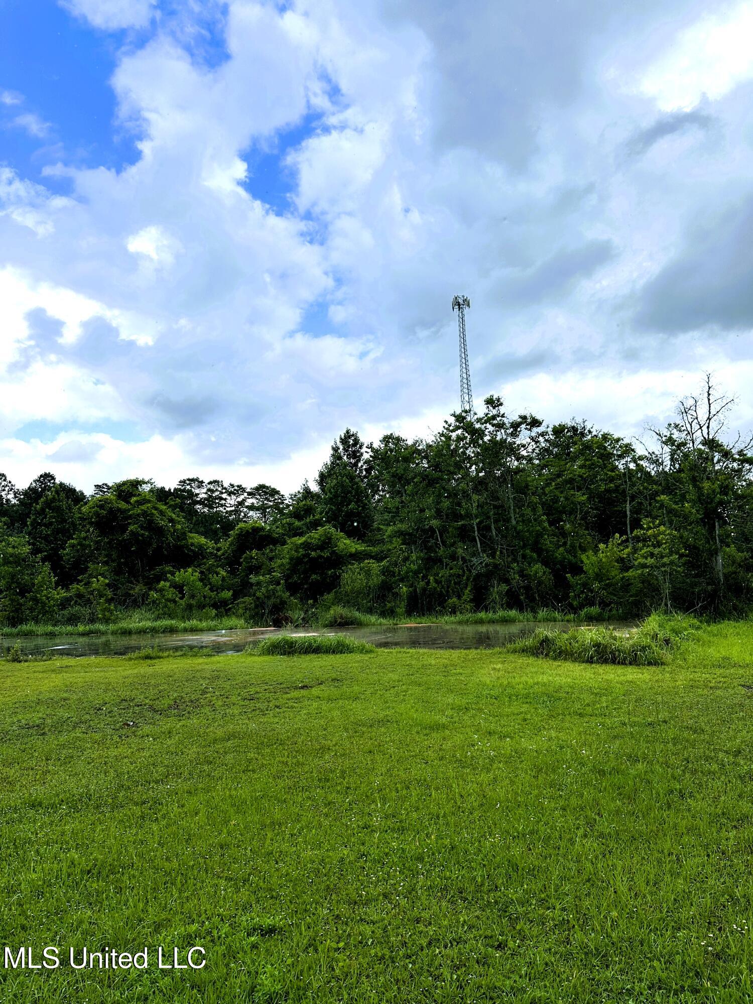 27 Acres Brinkman Road Property Photo 11