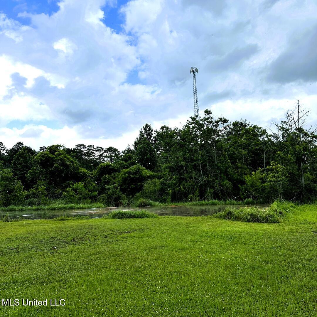 27 Acres Brinkman Road Property Photo 12