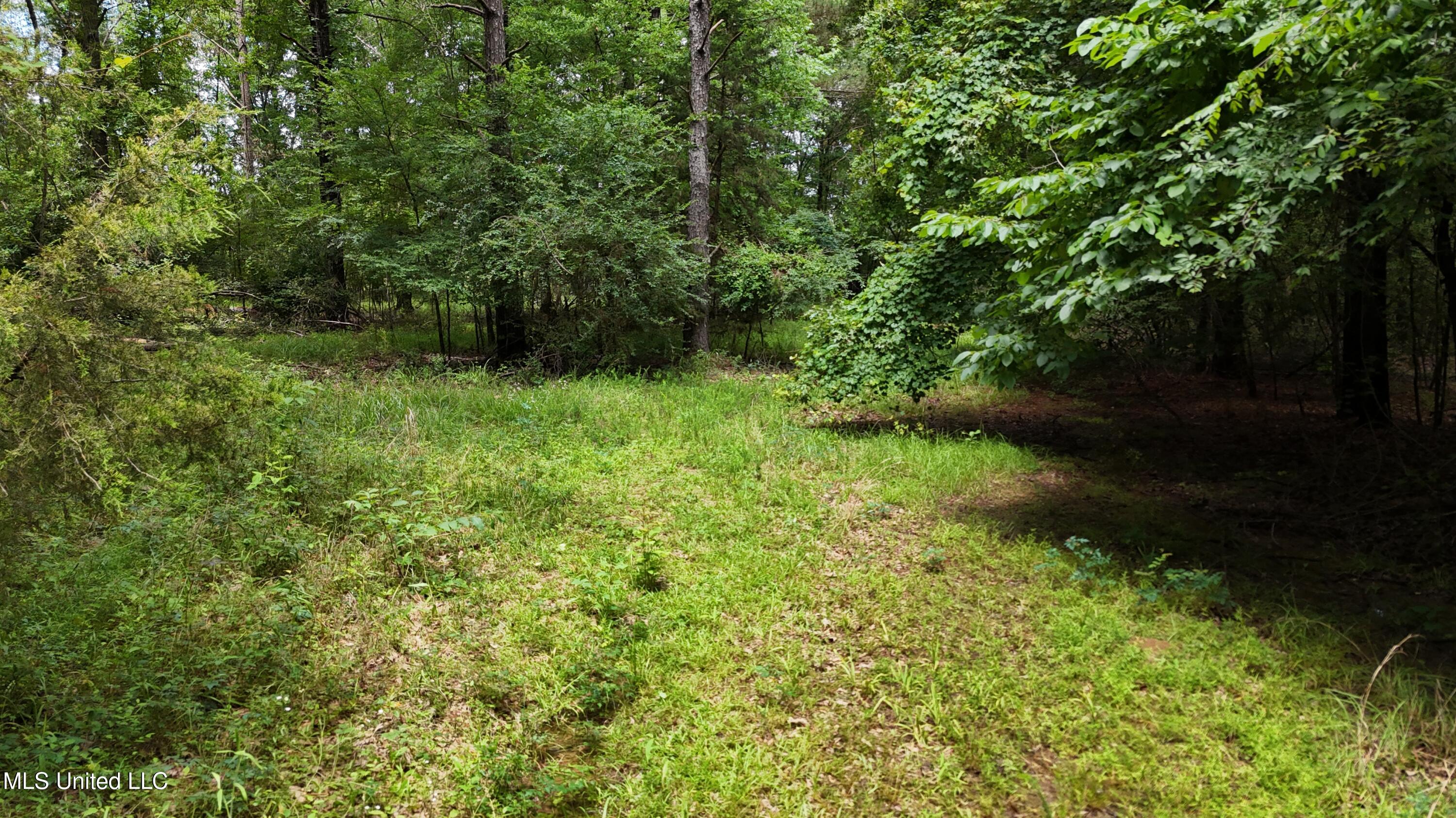 Stout Meadows Lane Property Photo 1