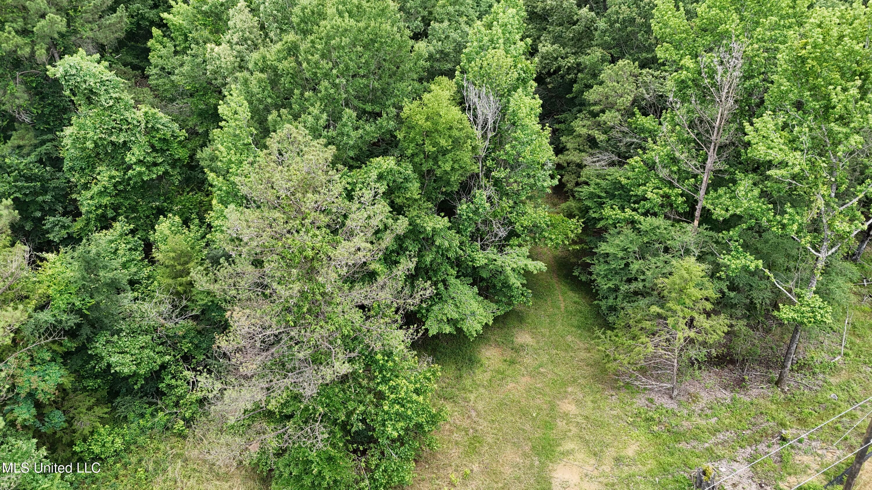 Stout Meadows Lane Property Photo 2