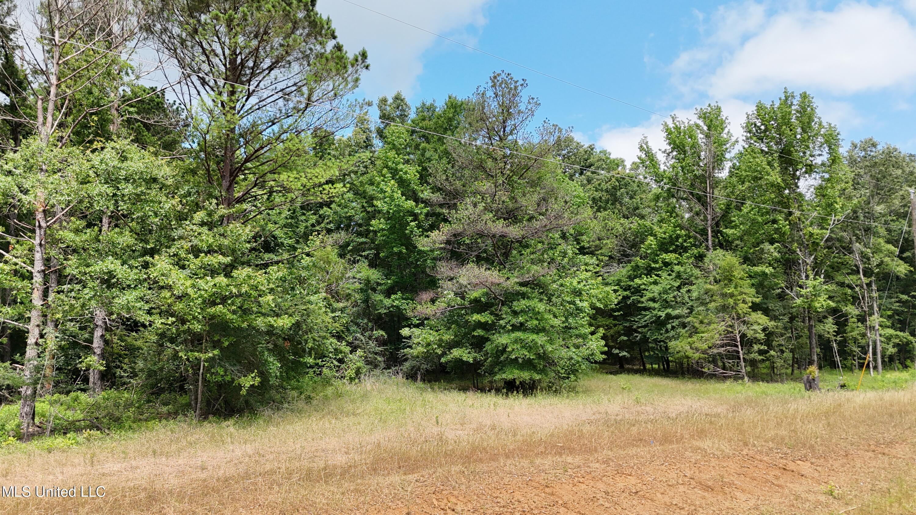 Stout Meadows Lane Property Photo 4