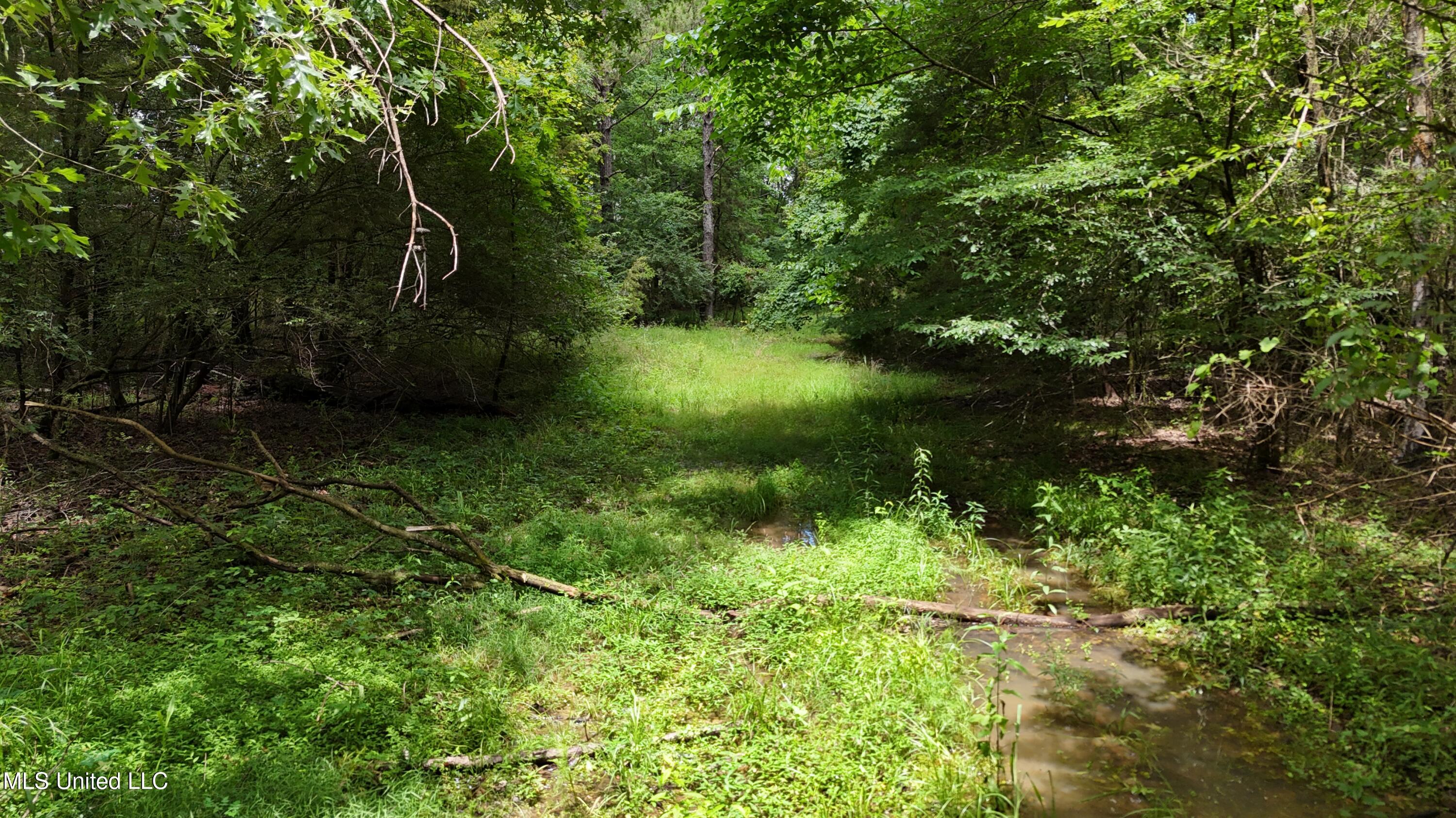Stout Meadows Lane Property Photo 5