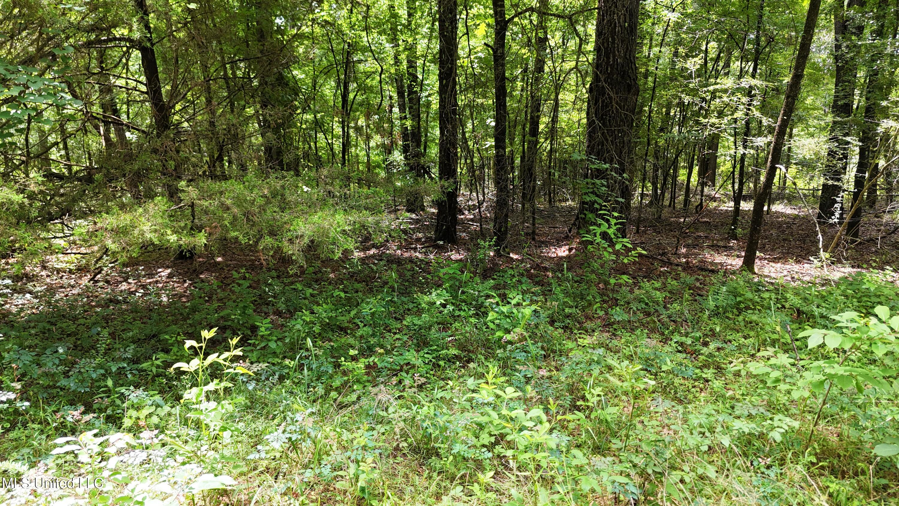 Stout Meadows Lane Property Photo 6