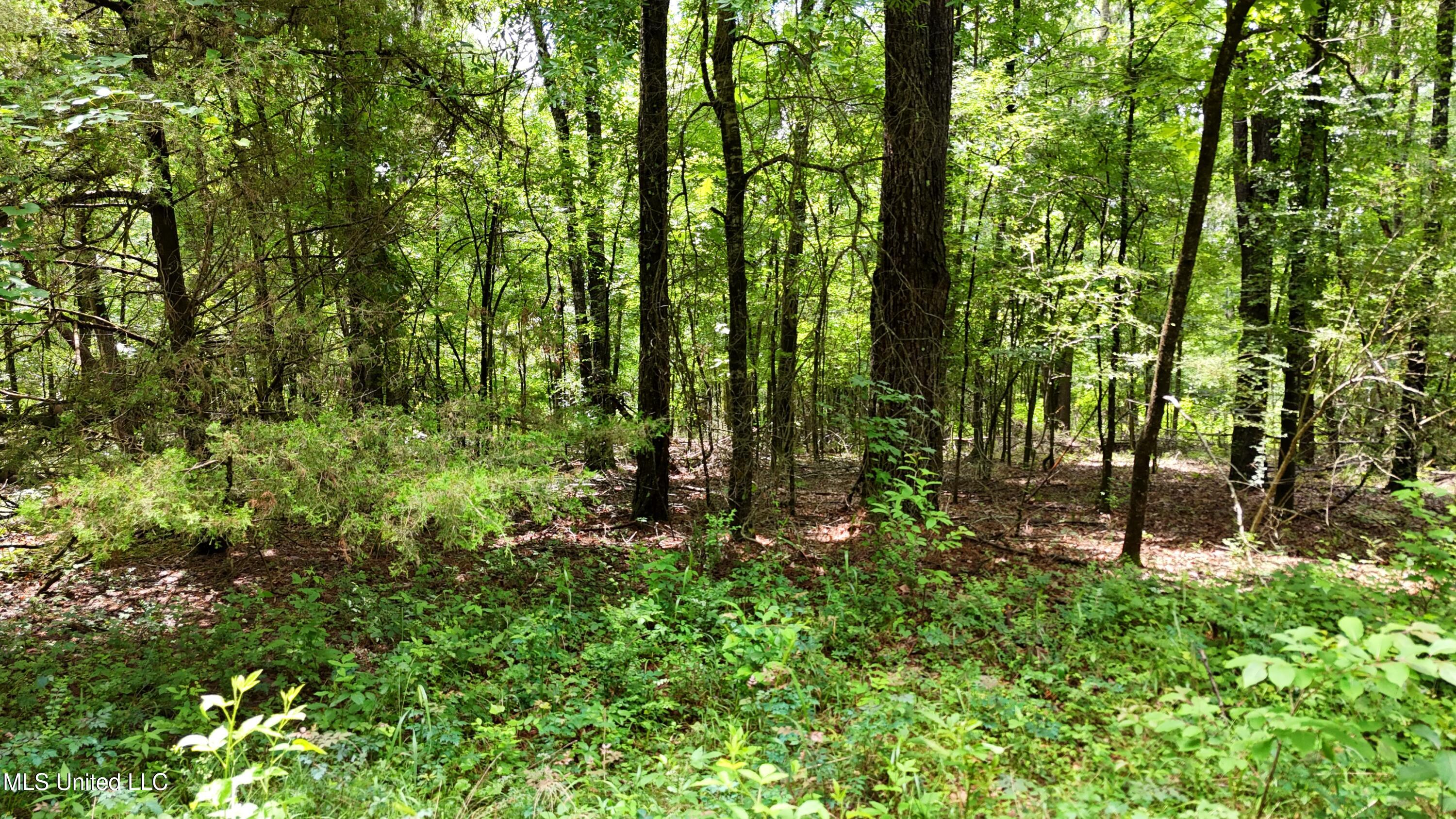 Stout Meadows Lane Property Photo 7