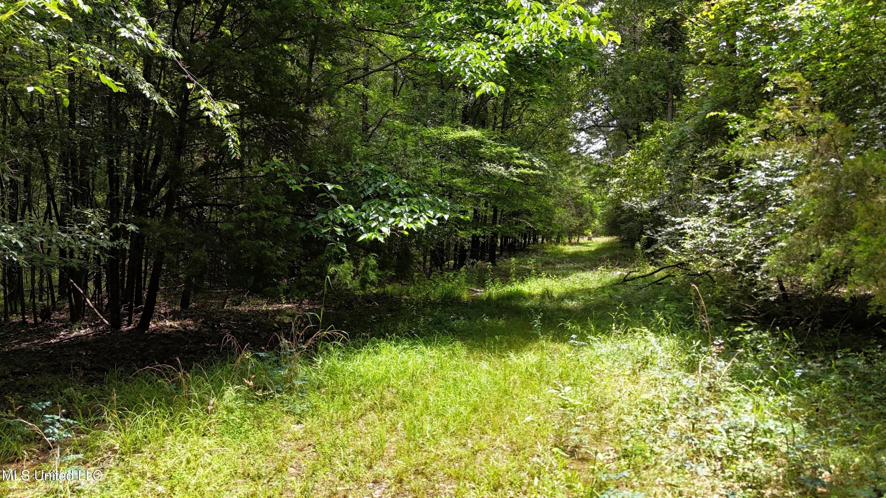 Stout Meadows Lane Property Photo 8