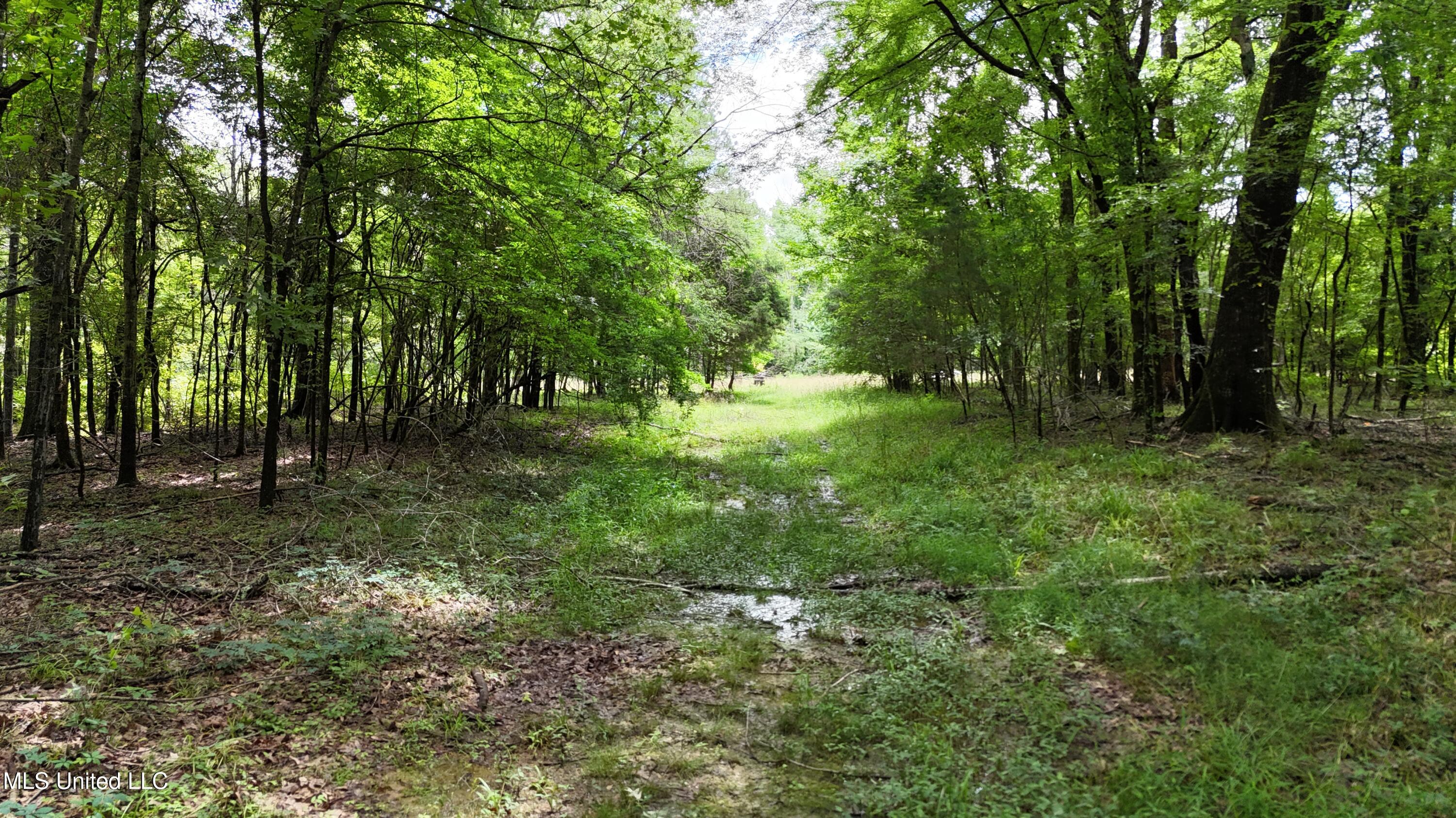 Stout Meadows Lane Property Photo 9