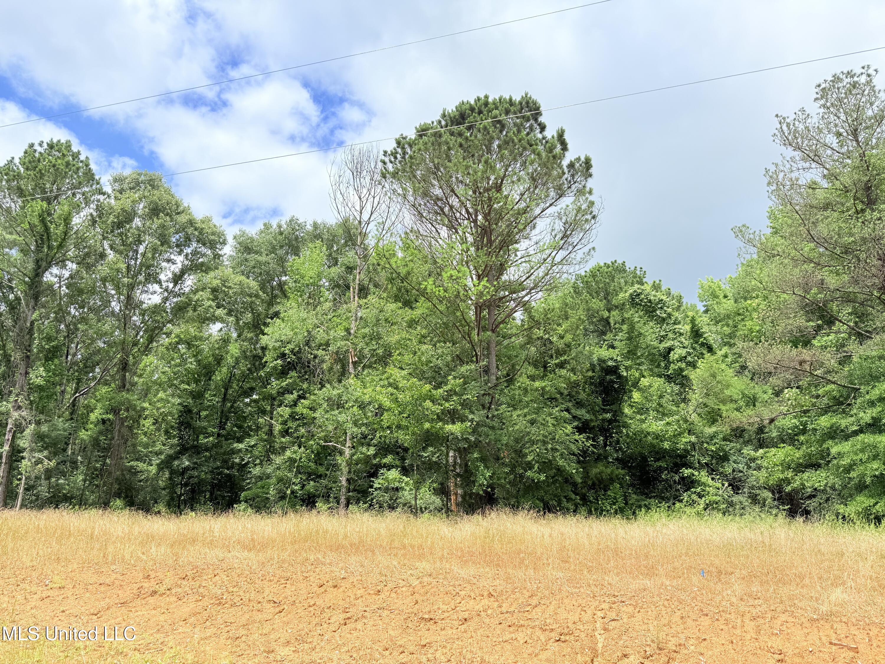 Stout Meadows Lane Property Photo 14