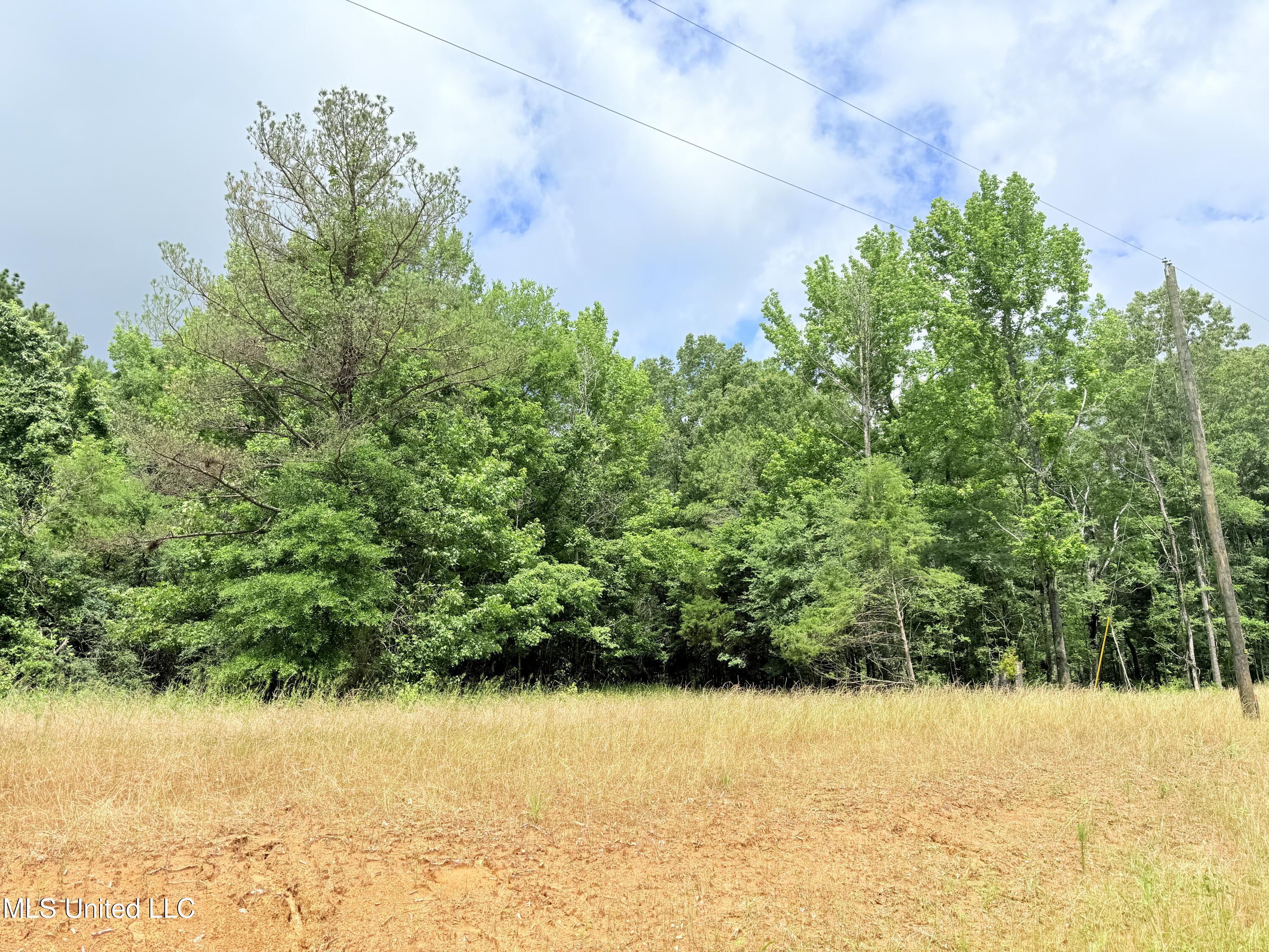 Stout Meadows Lane Property Photo 15