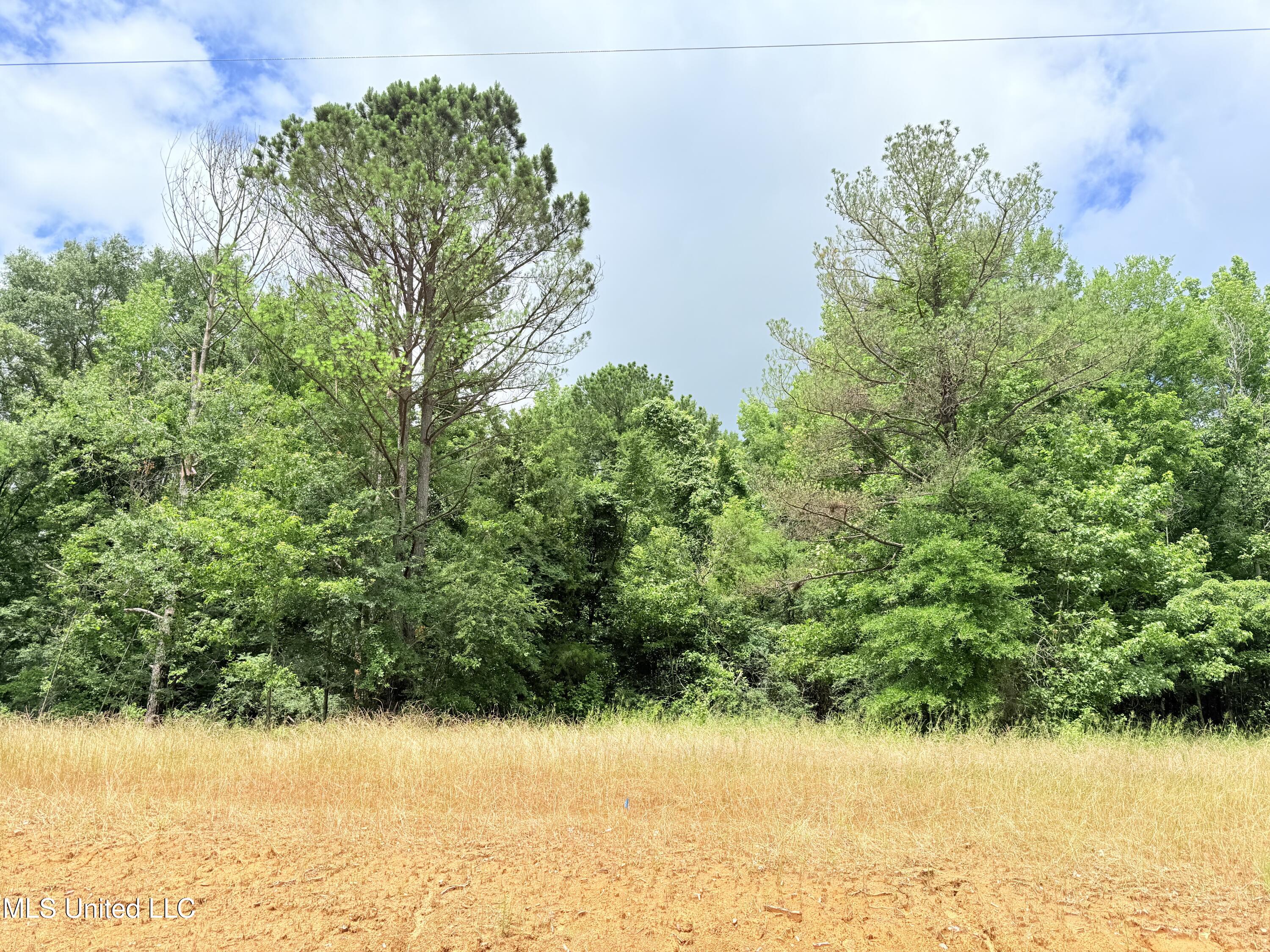 Stout Meadows Lane Property Photo 16