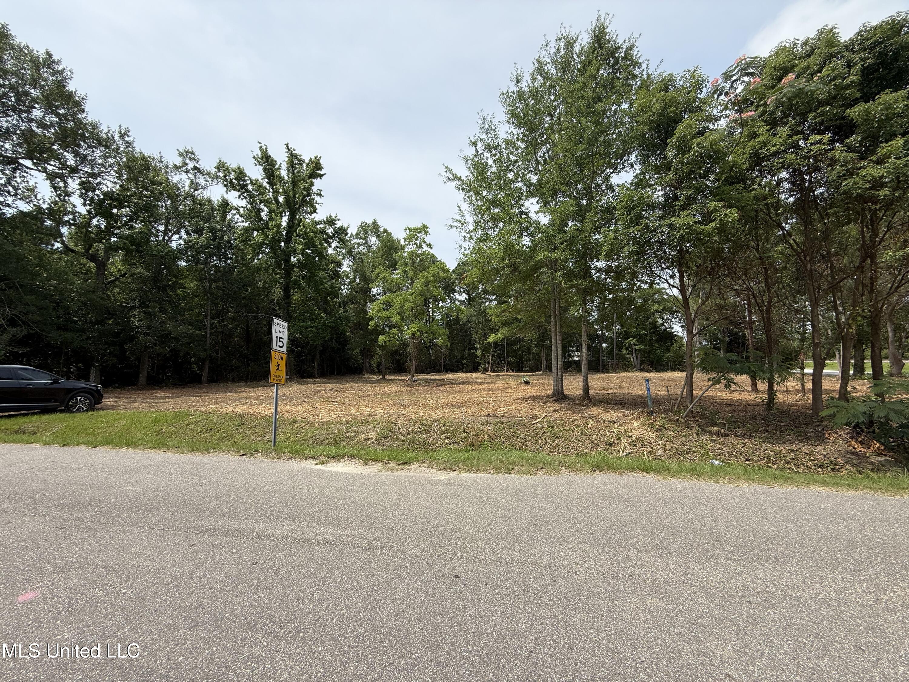 00 S Central Avenue Property Photo 3