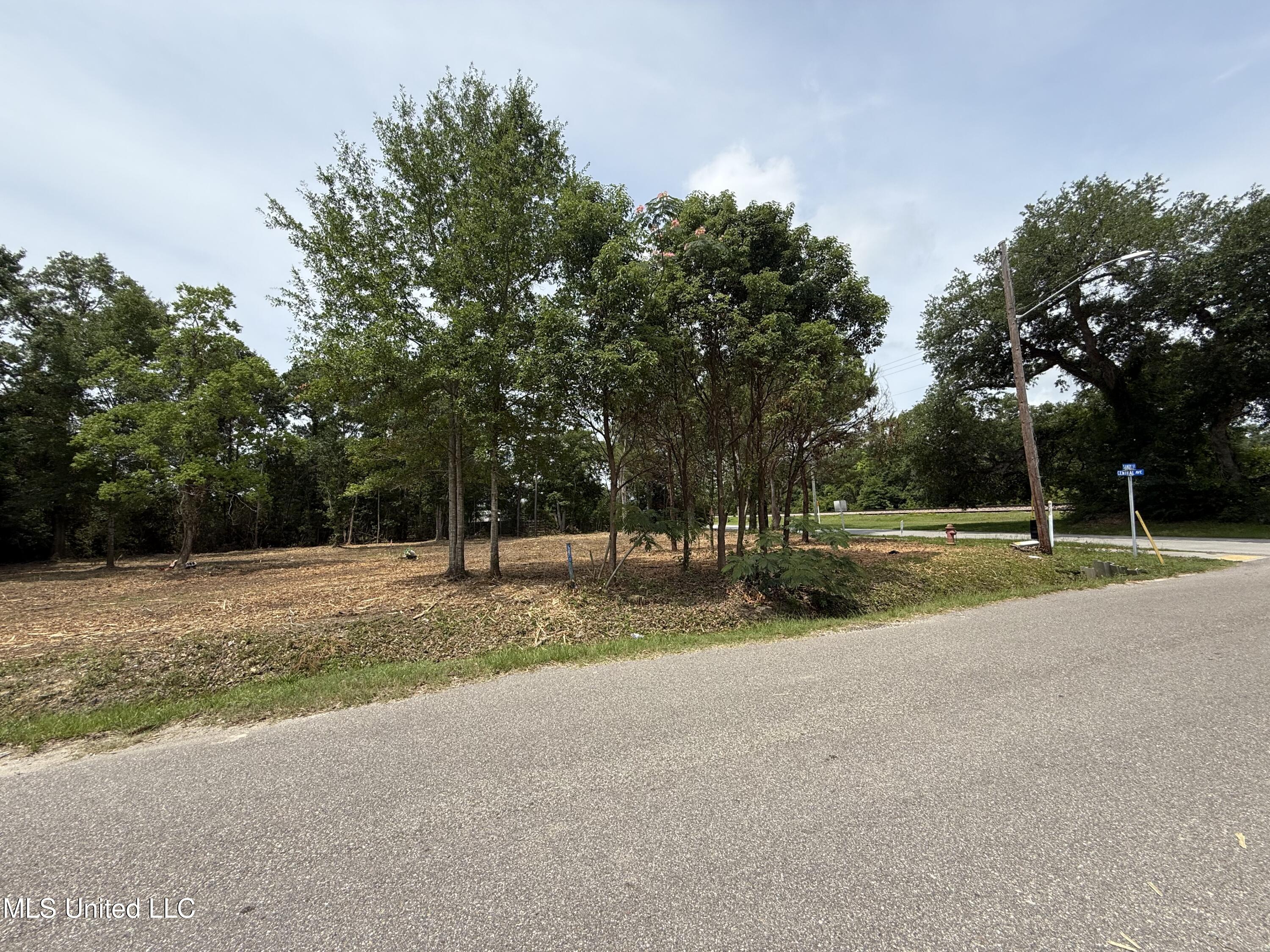 00 S Central Avenue Property Photo 4