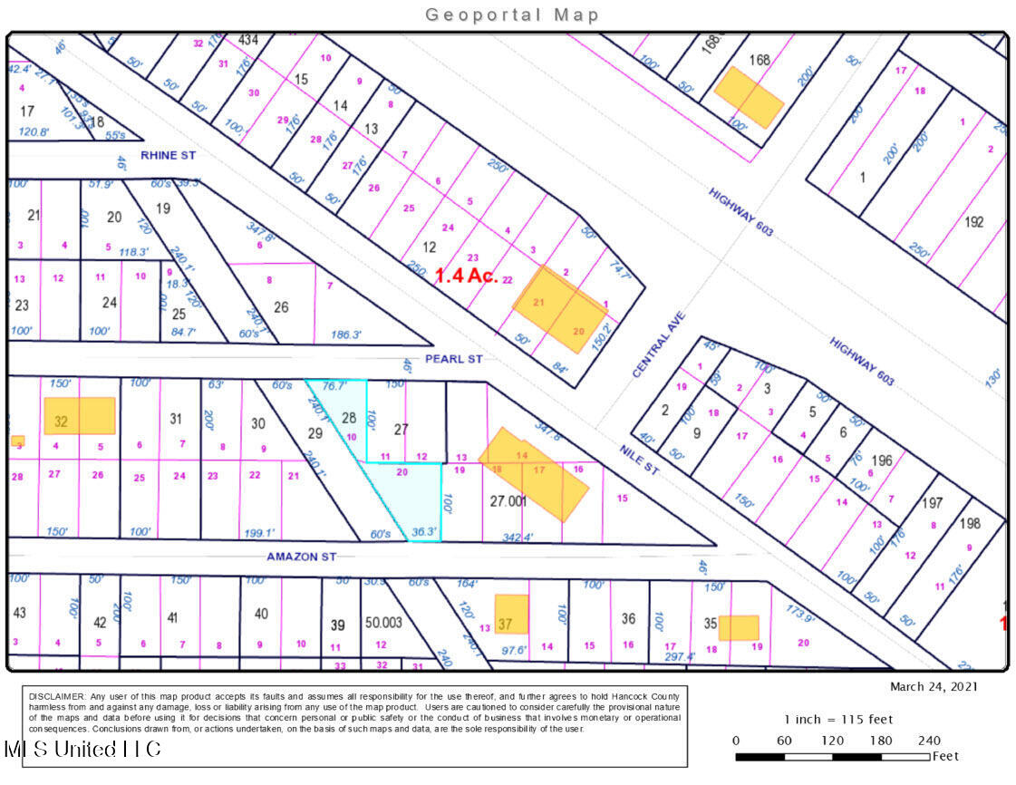 Amazon Street Property Photo 2