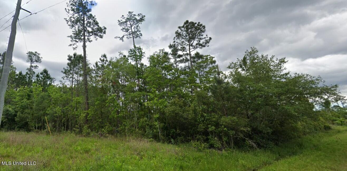 Amazon Street Property Photo 3