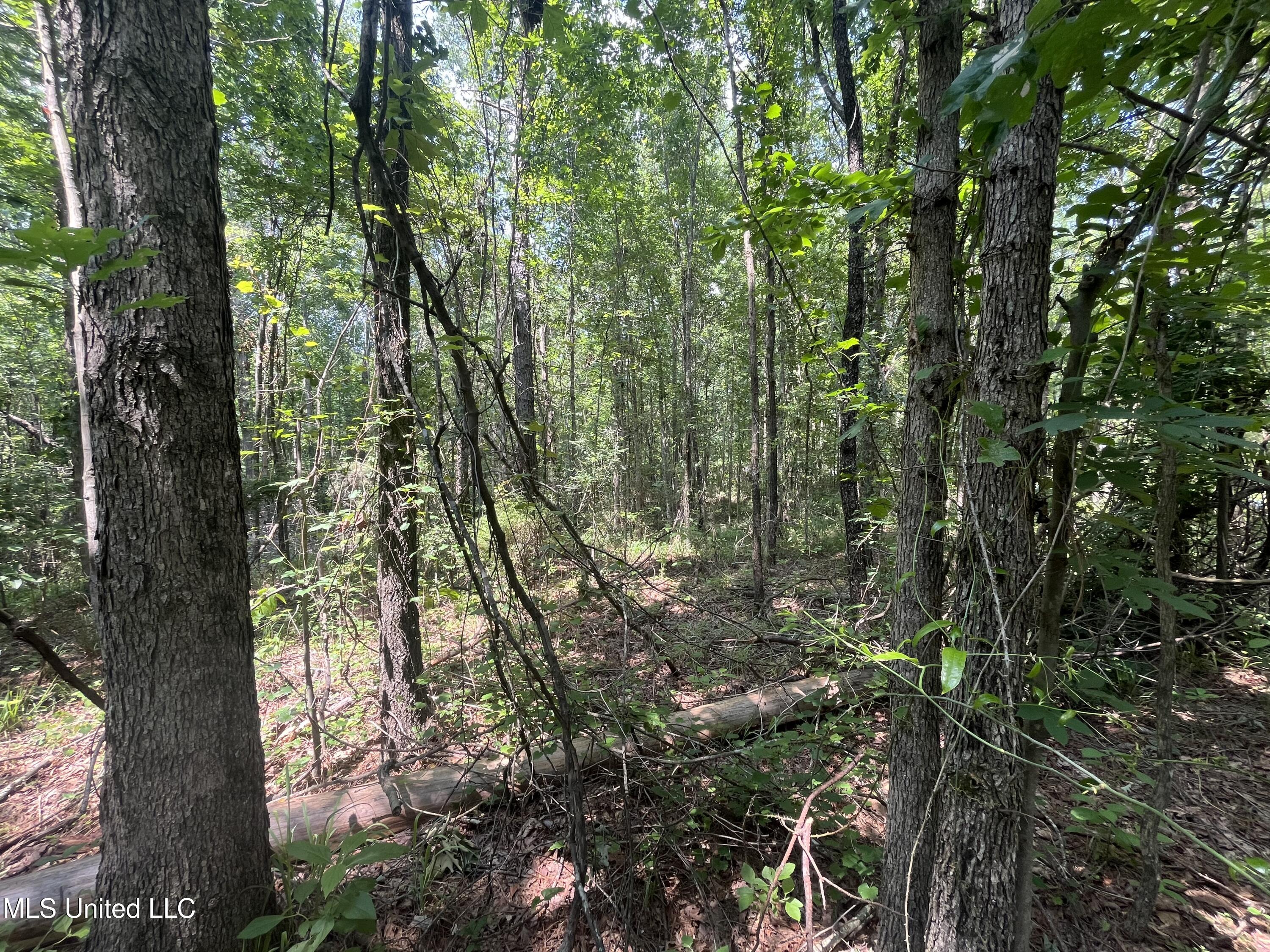 County Rd 37 Property Photo 4
