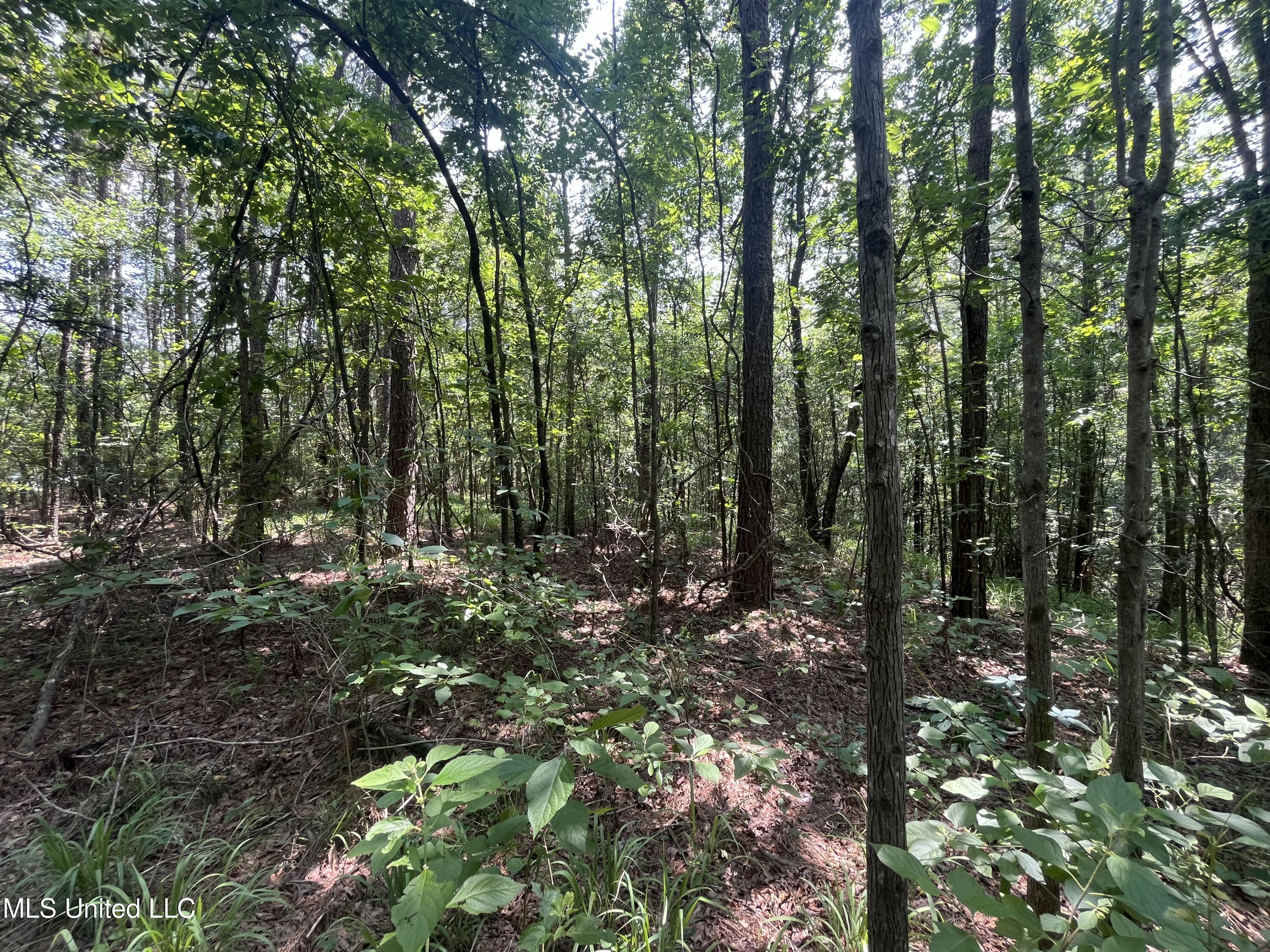 County Rd 37 Property Photo 5