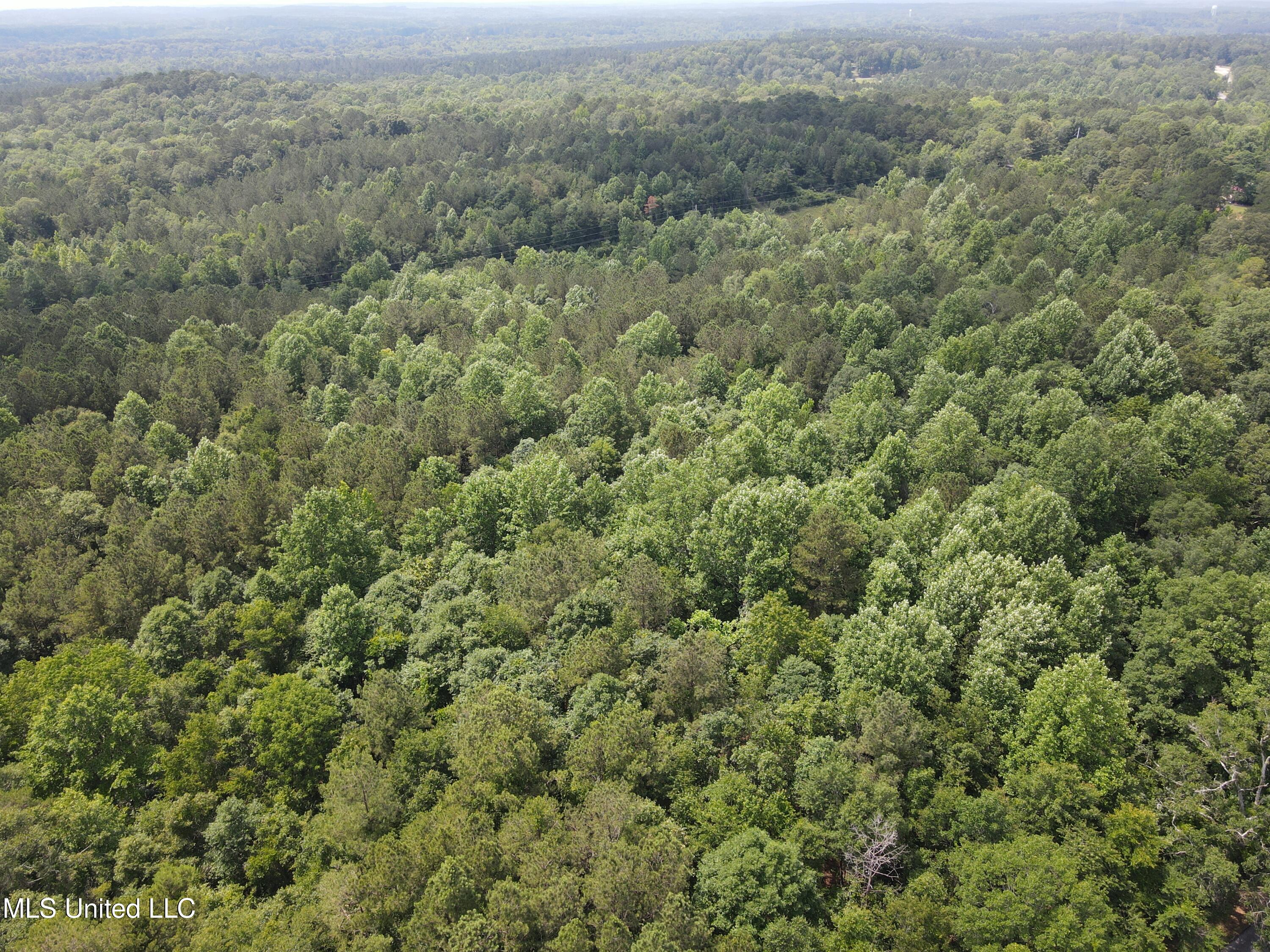 County Rd 37 Property Photo 17