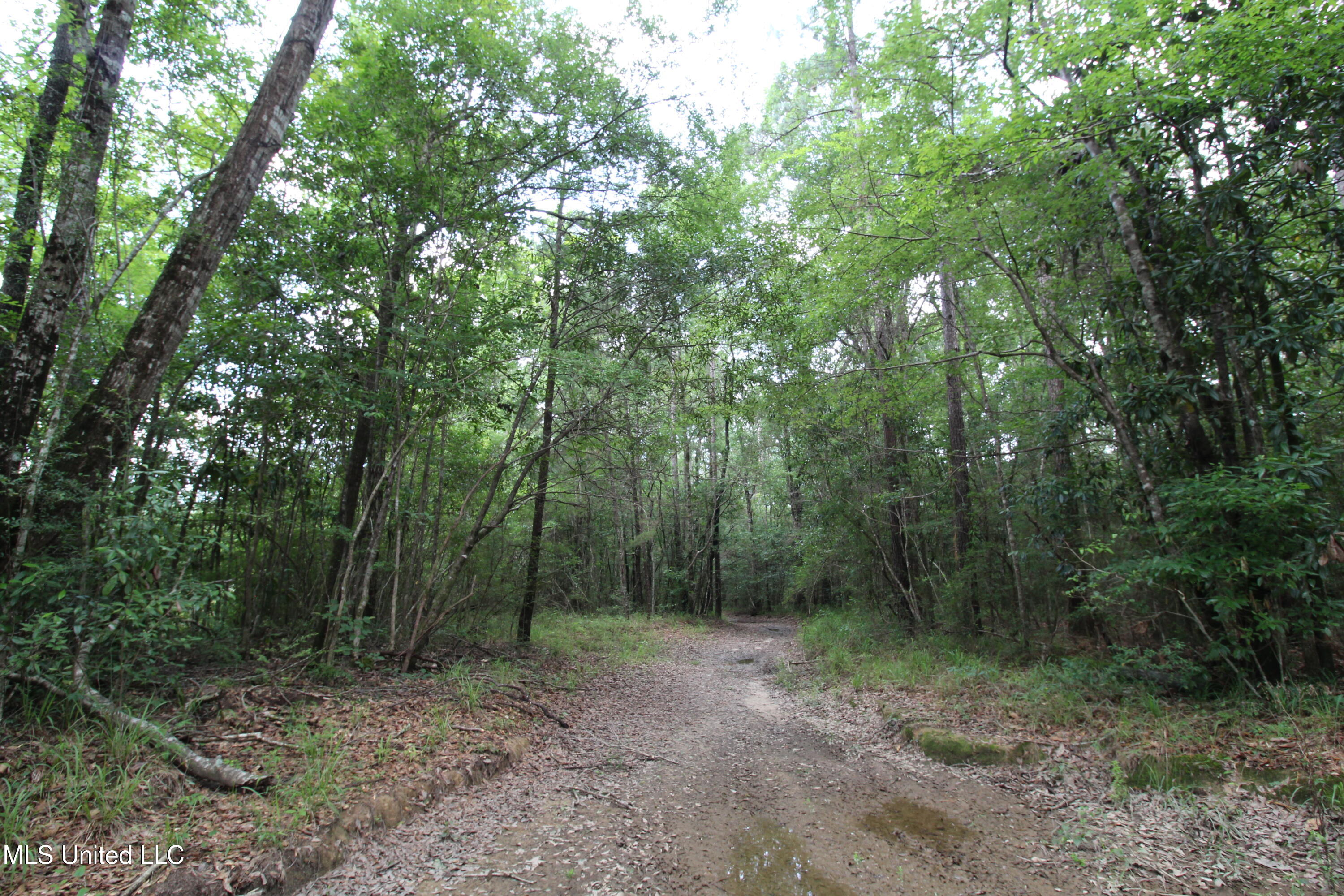 177 +/- Ac Burnis Havard Rd Property Photo 1