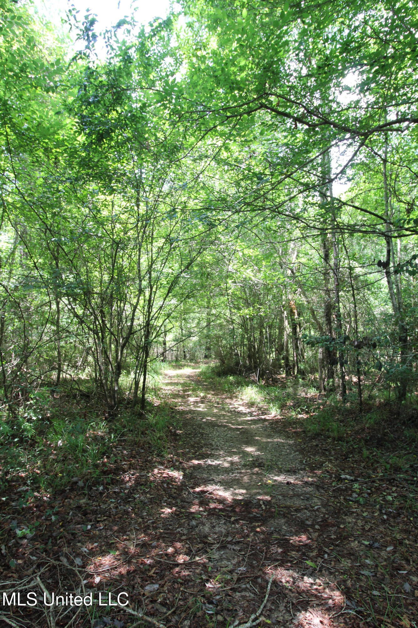 177 +/- Ac Burnis Havard Rd Property Photo 2