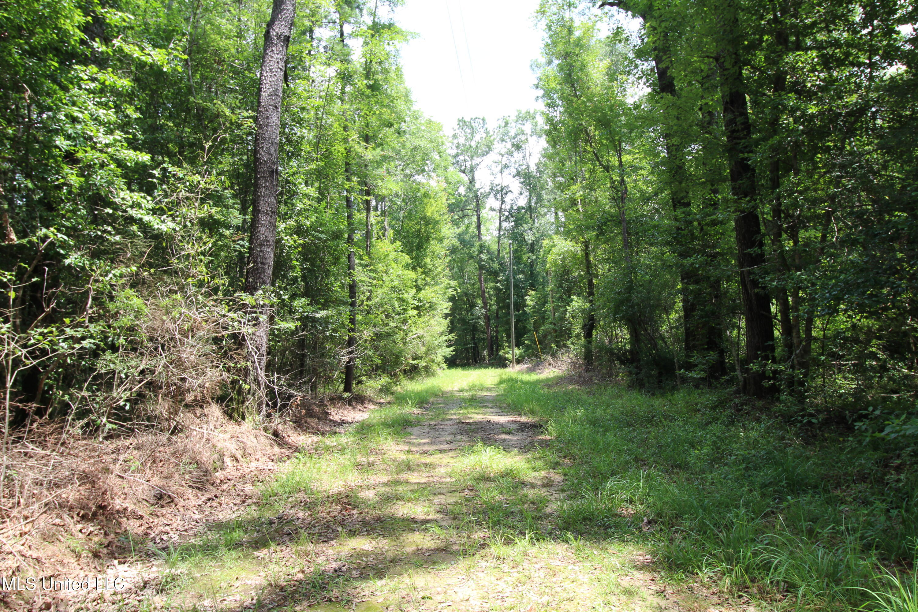 177 +/- Ac Burnis Havard Rd Property Photo 3