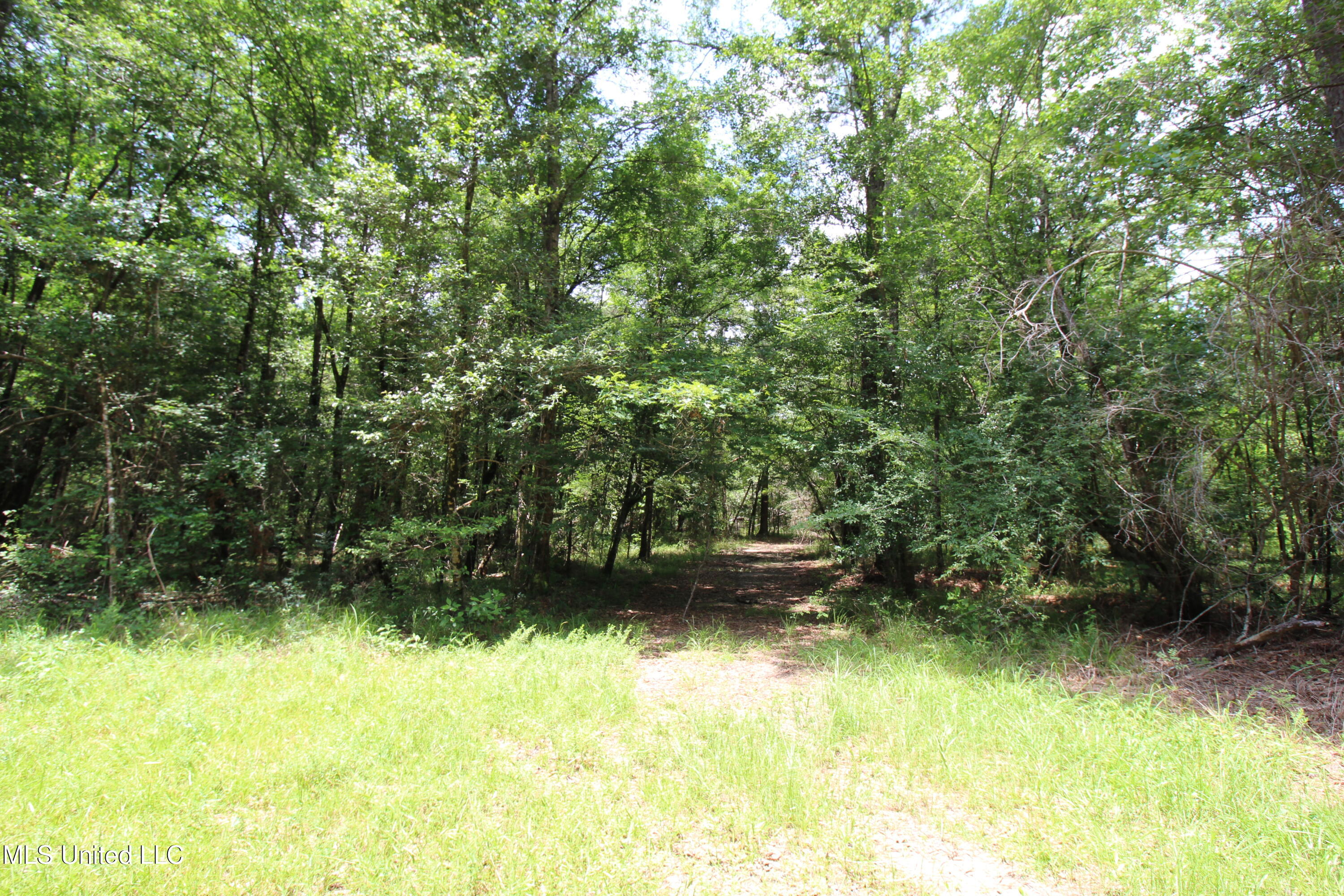 177 +/- Ac Burnis Havard Rd Property Photo 4