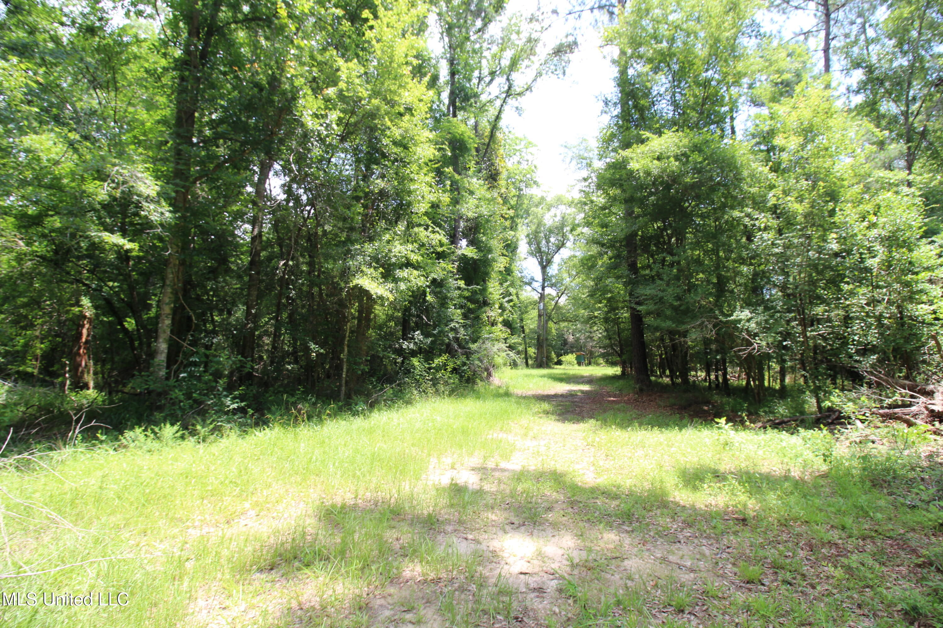 177 +/- Ac Burnis Havard Rd Property Photo 5