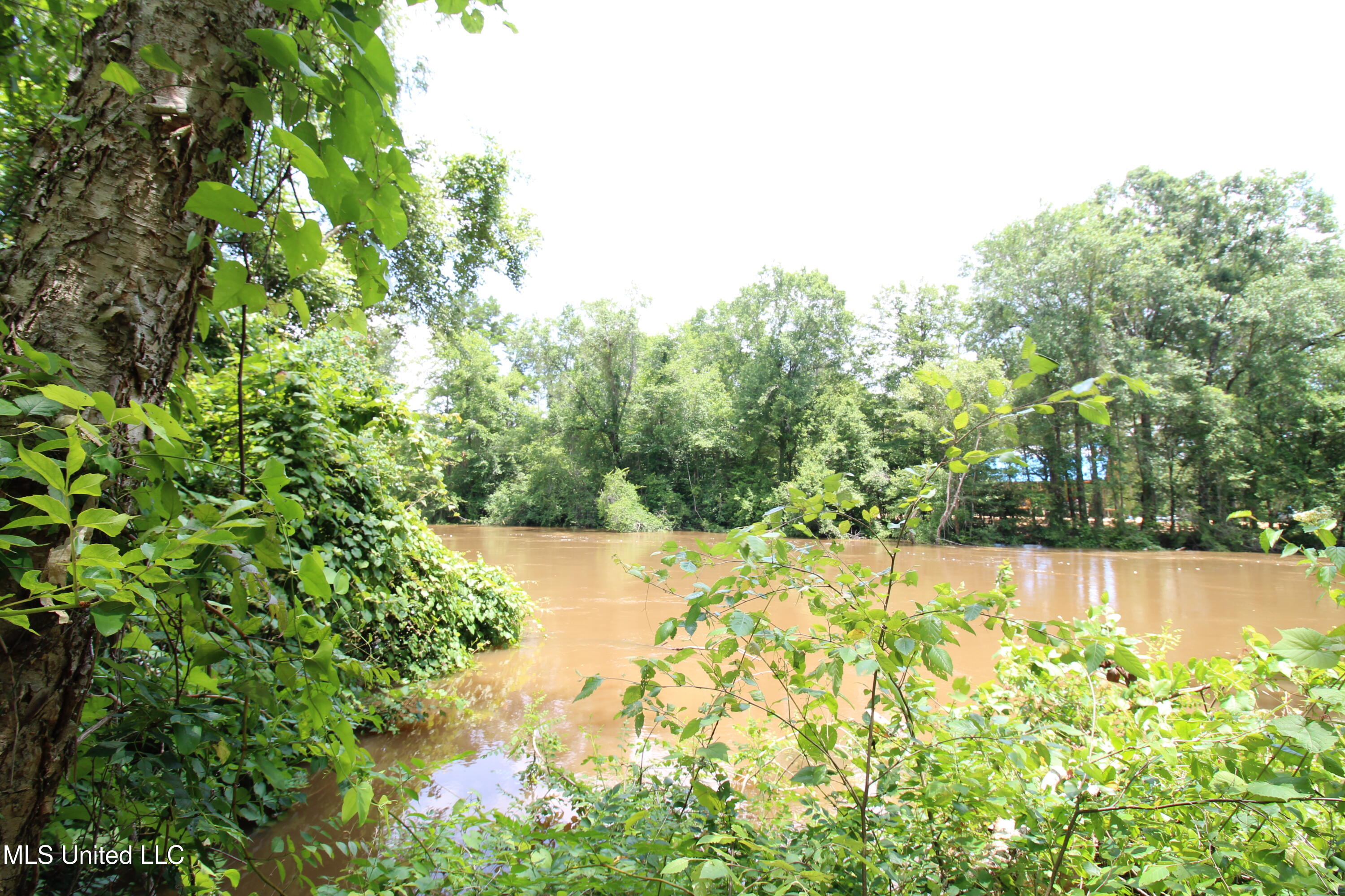 177 +/- Ac Burnis Havard Rd Property Photo 12