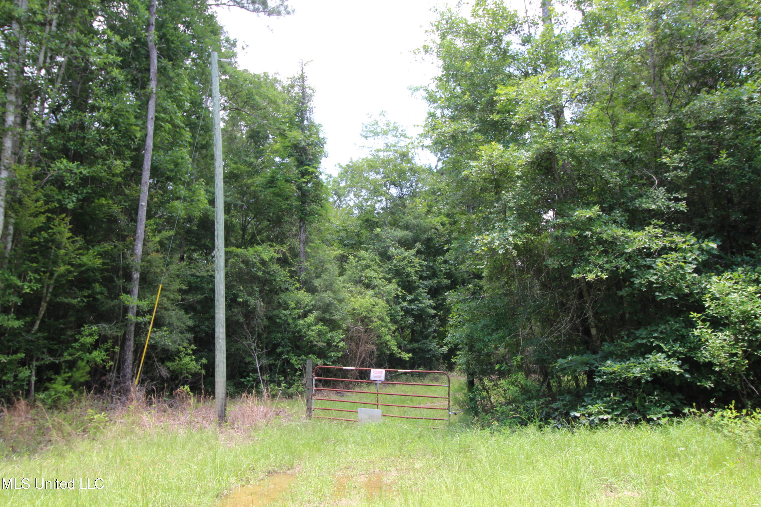 177 +/- Ac Burnis Havard Rd Property Photo 14